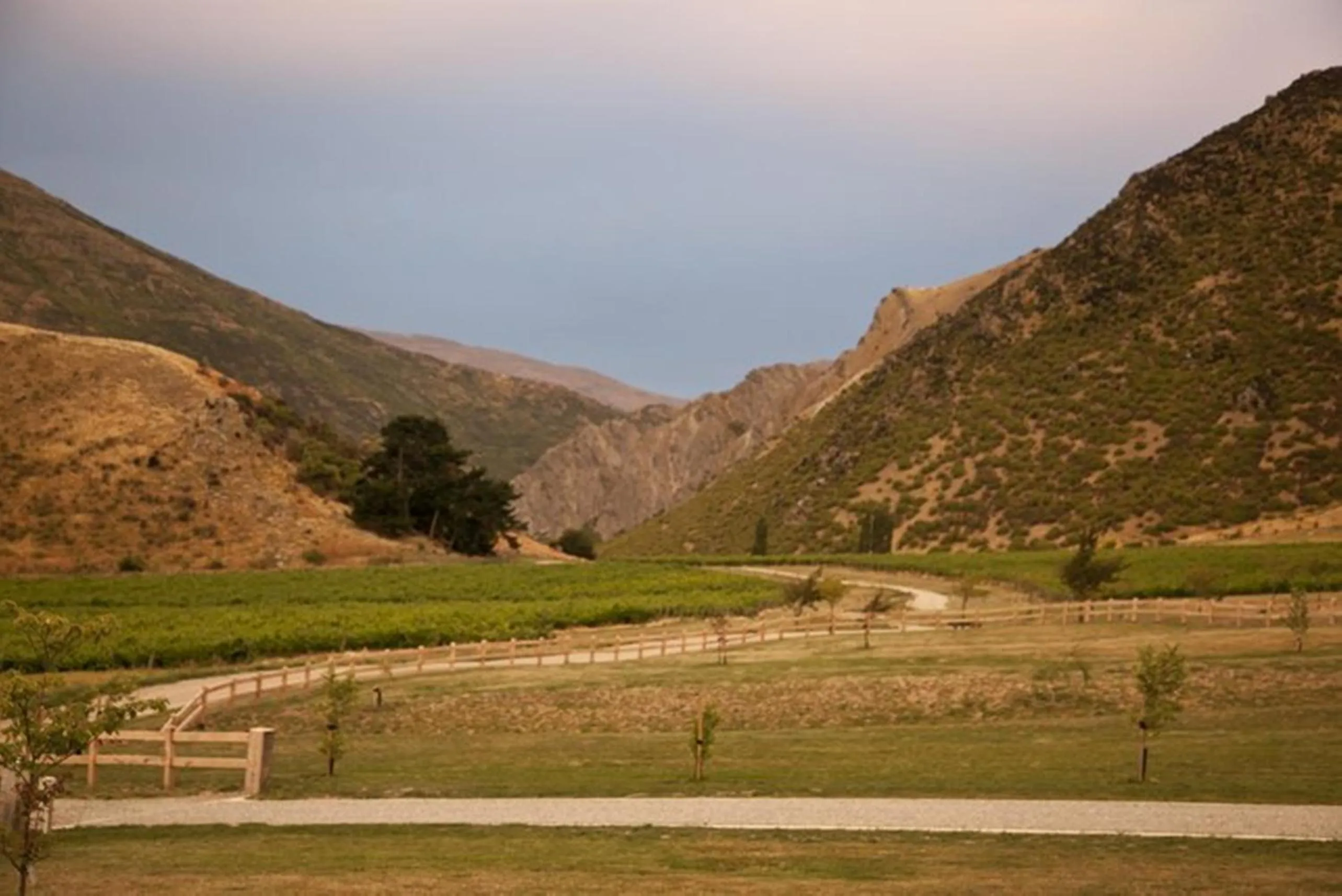 Mountain view in Gibbston House Boutique B&B