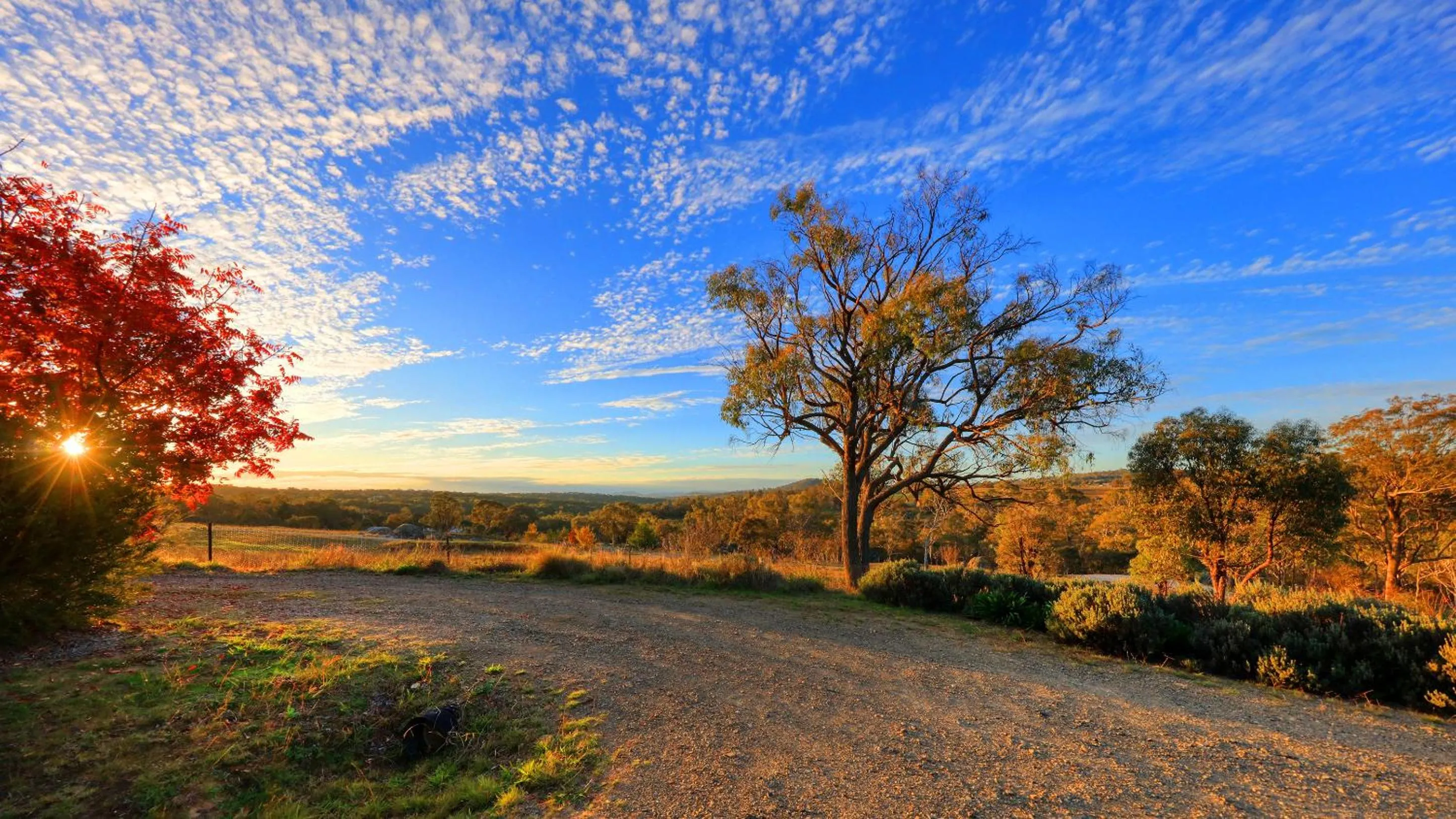 Natural landscape in Grace Cottages