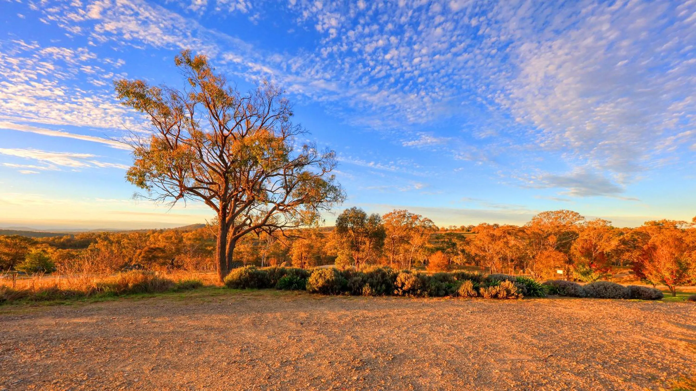 Natural landscape in Grace Cottages