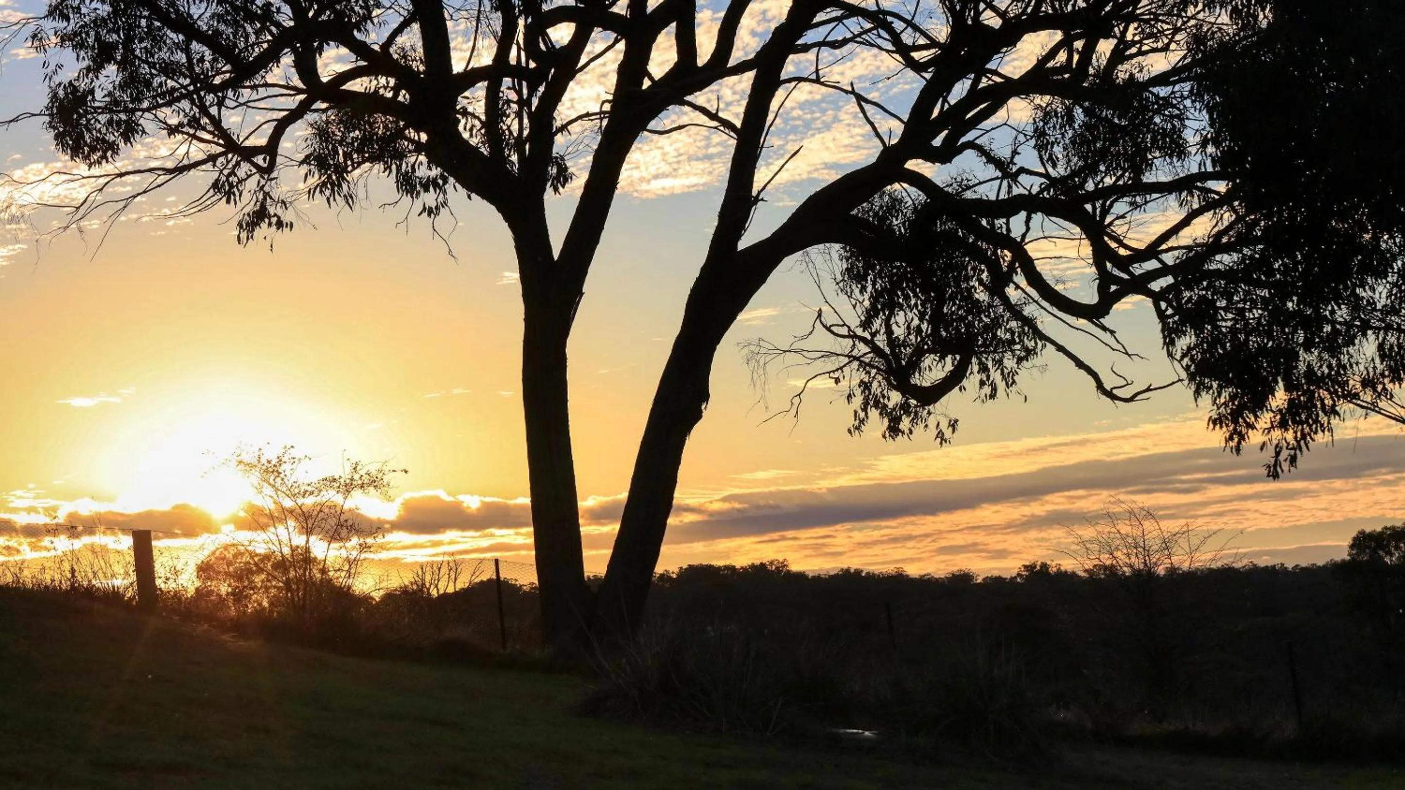 Sunset in Grace Cottages