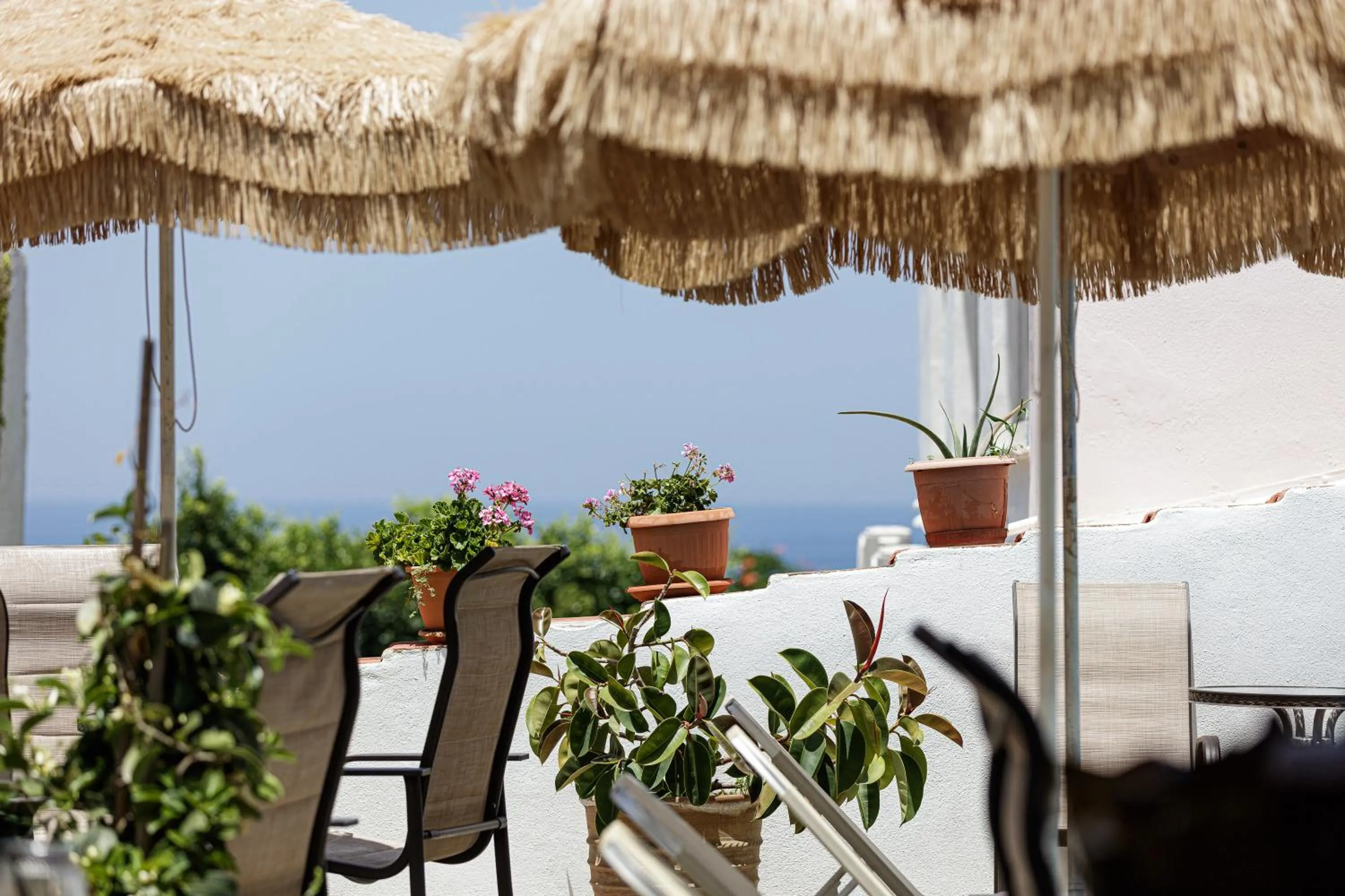 Balcony/Terrace in Kasteli Studios & Apartments