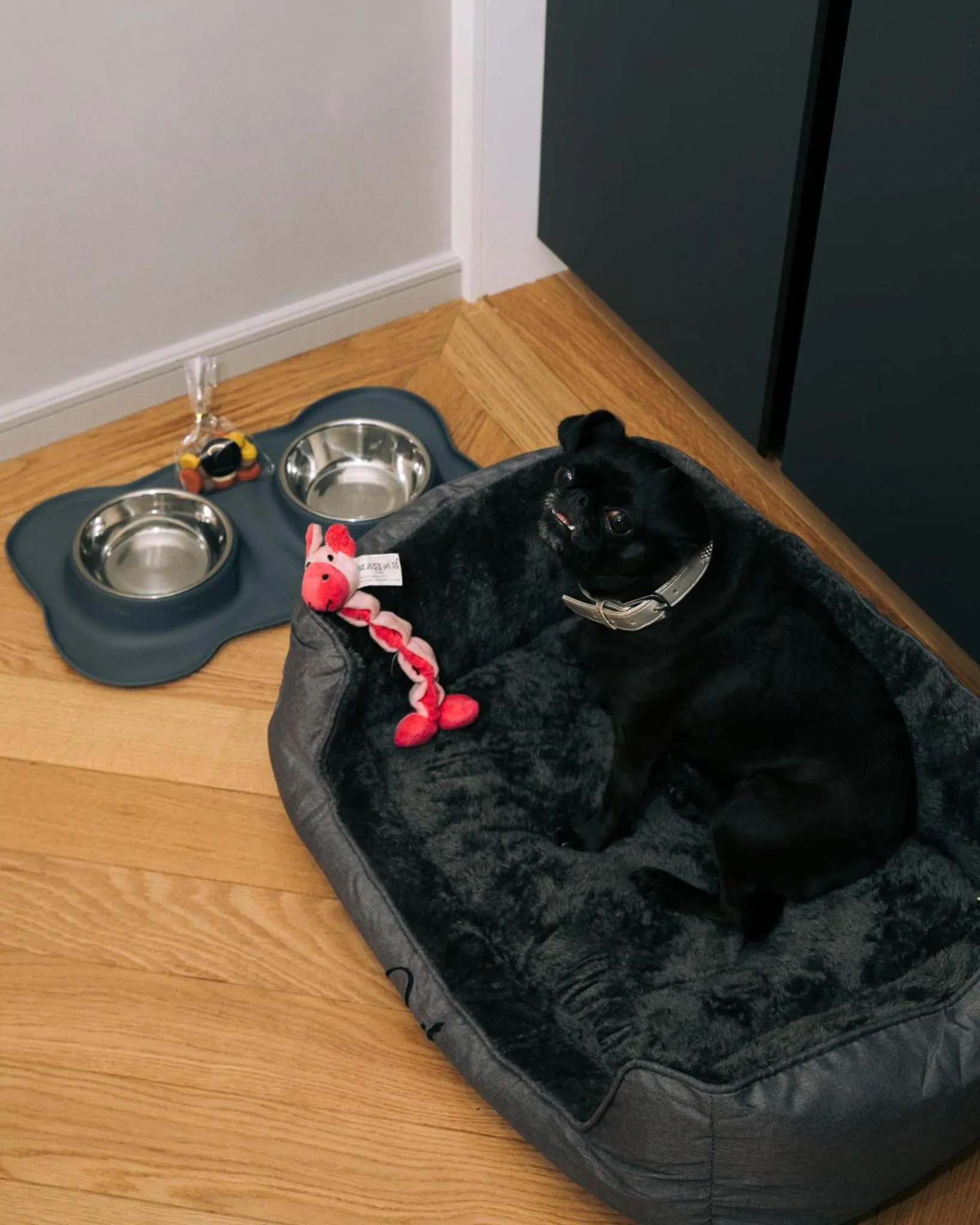 Pets in Fraser Suites Le Claridge Champs-Elysées