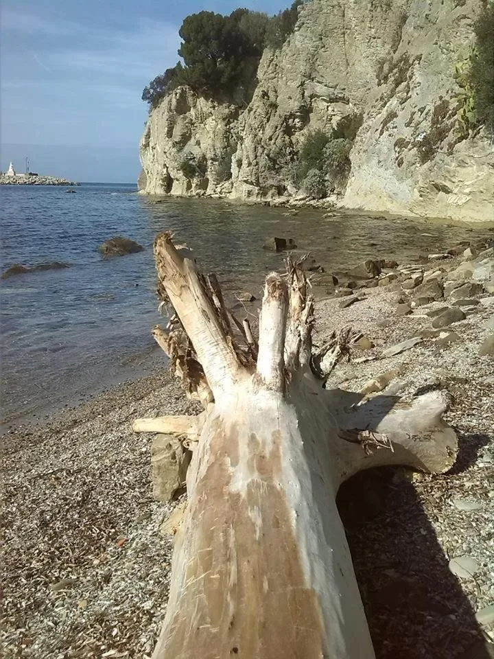 Beach in Kirillos IN CILENTO
