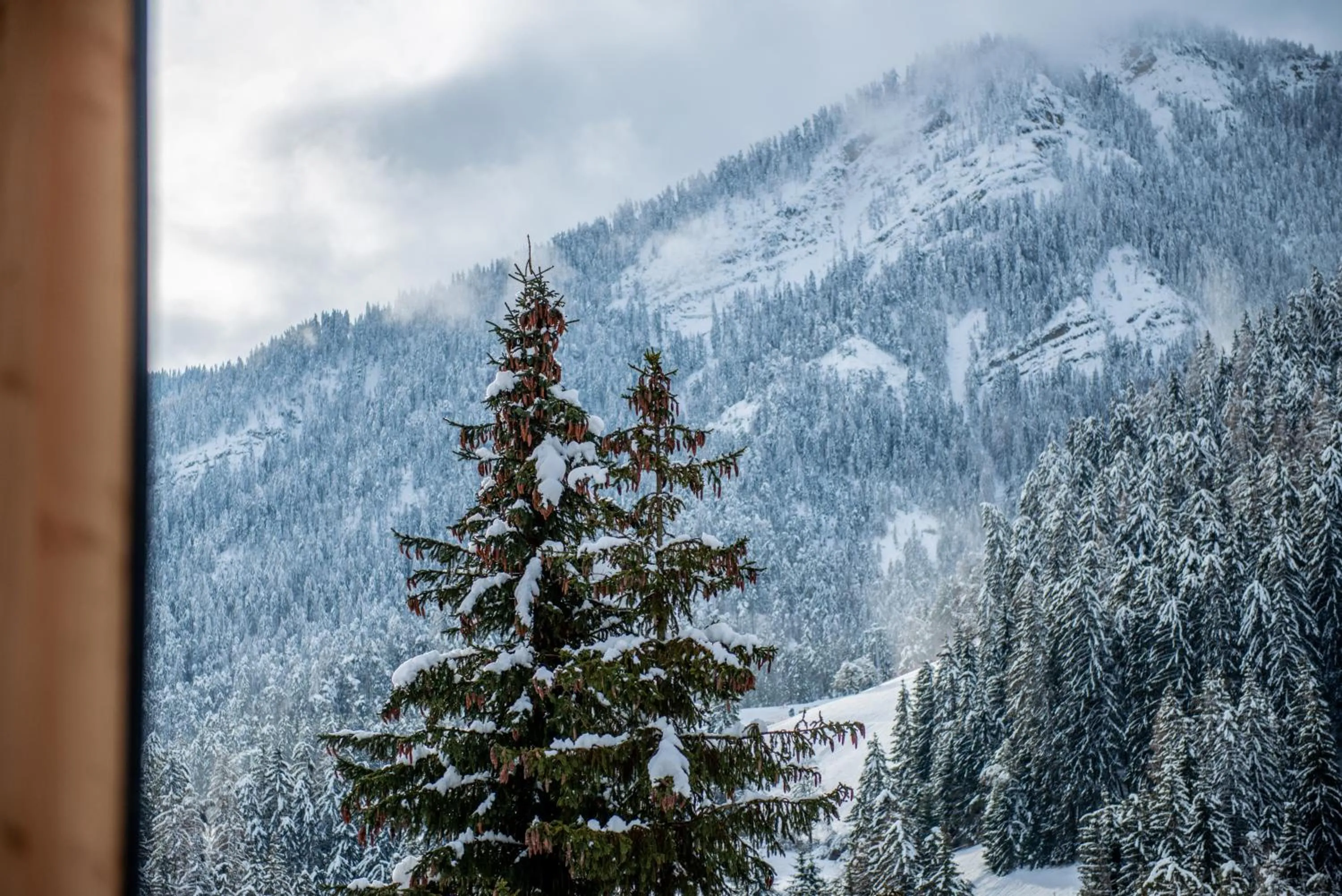 Bedroom in Hotel Gran Pre