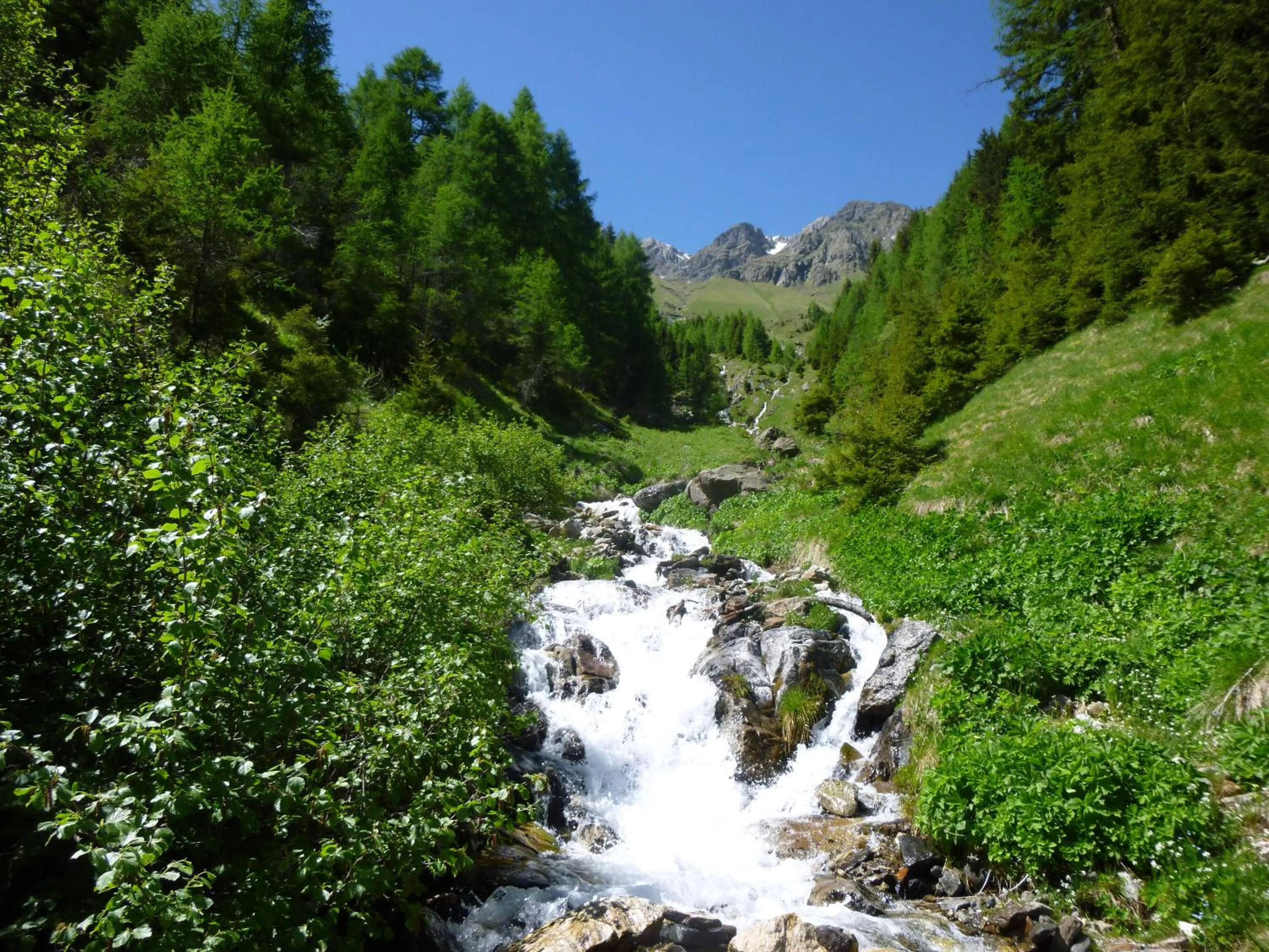 Day in Hotel Gran Pre