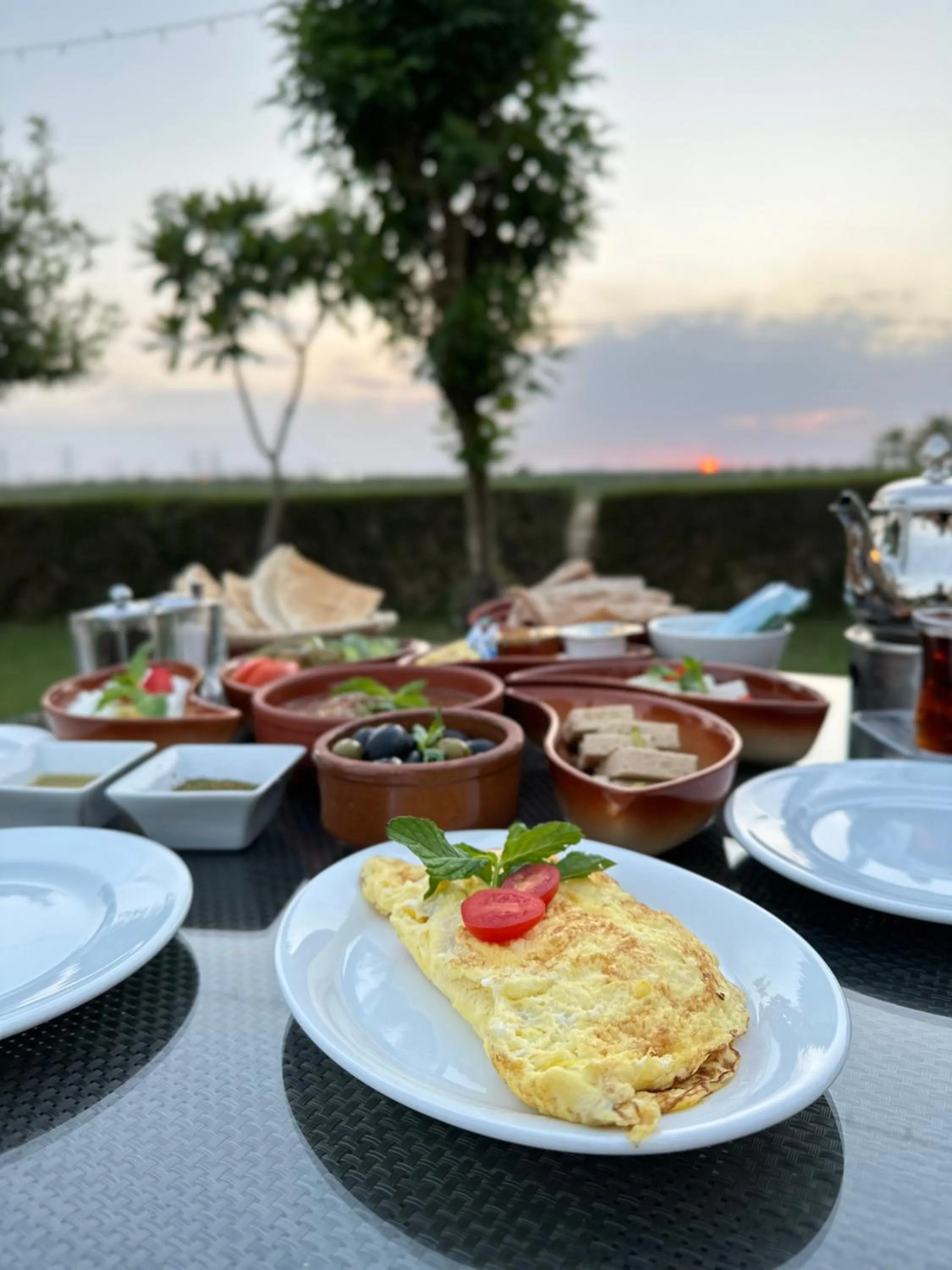 Al Malfa Resort & Hotel