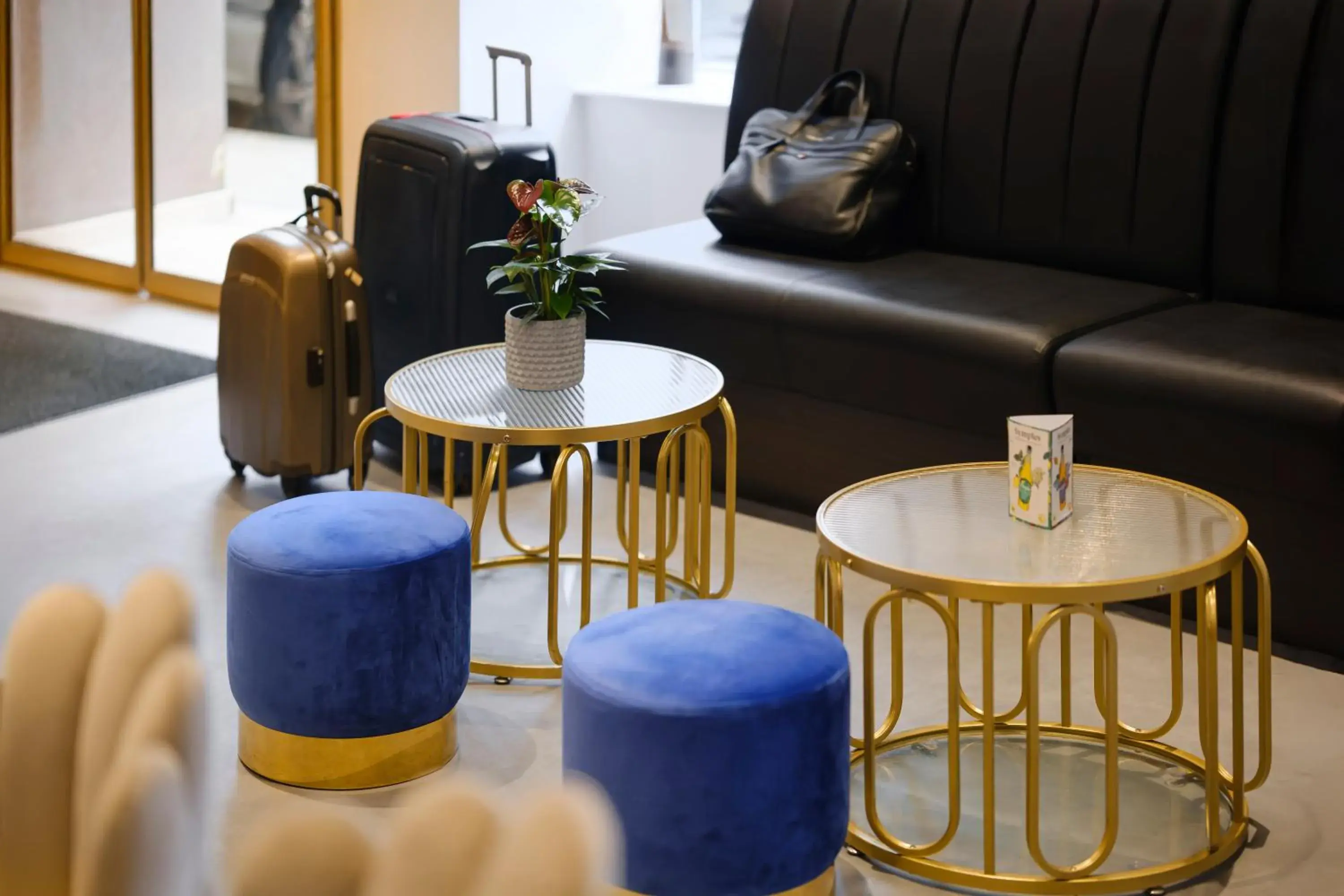 Lobby or reception in Hôtel du Parc Thionville Centre Lobby or reception in Hôtel du Parc Thionville Centre