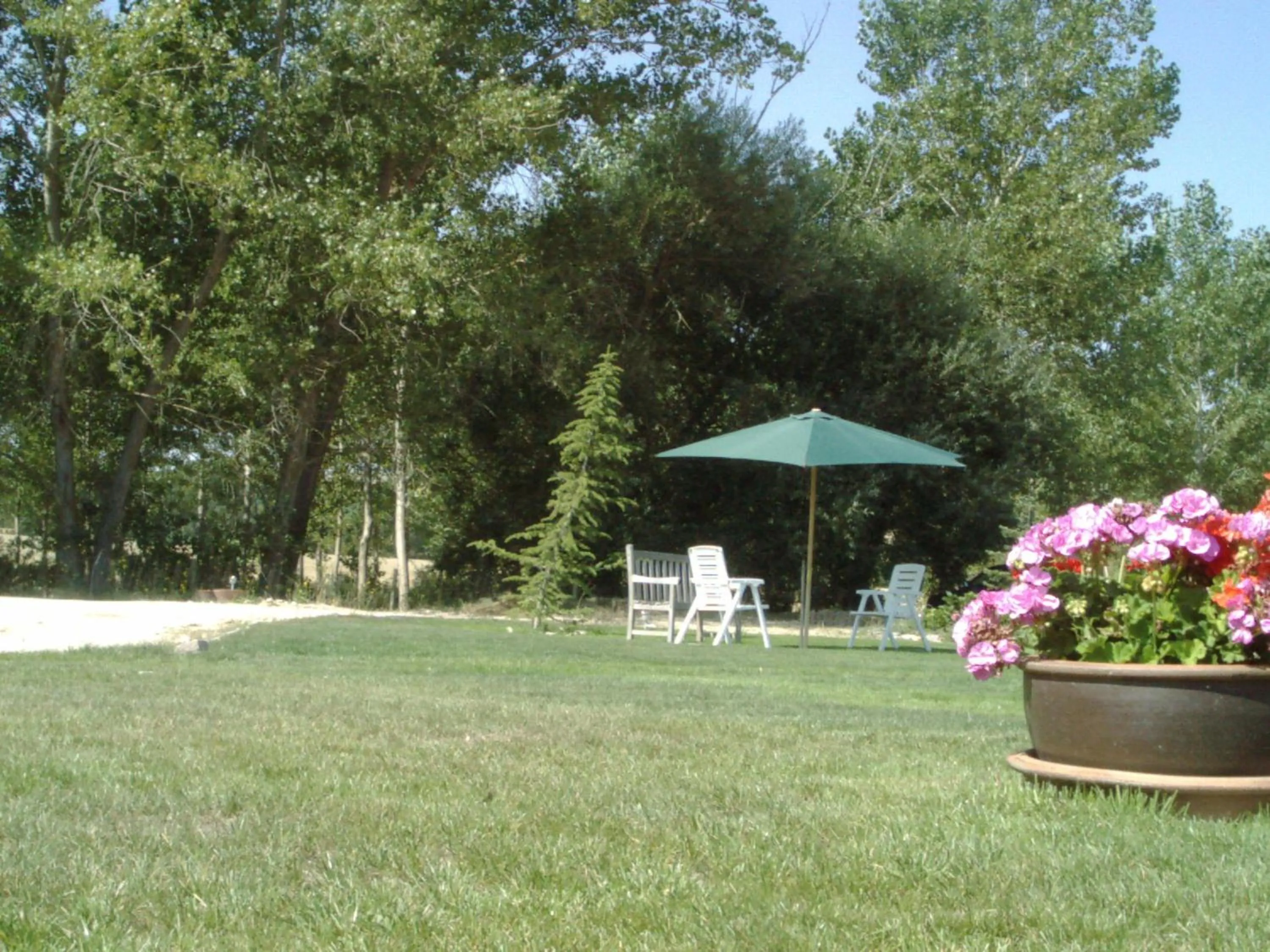 Garden in Hotel Santa Coloma del Camino