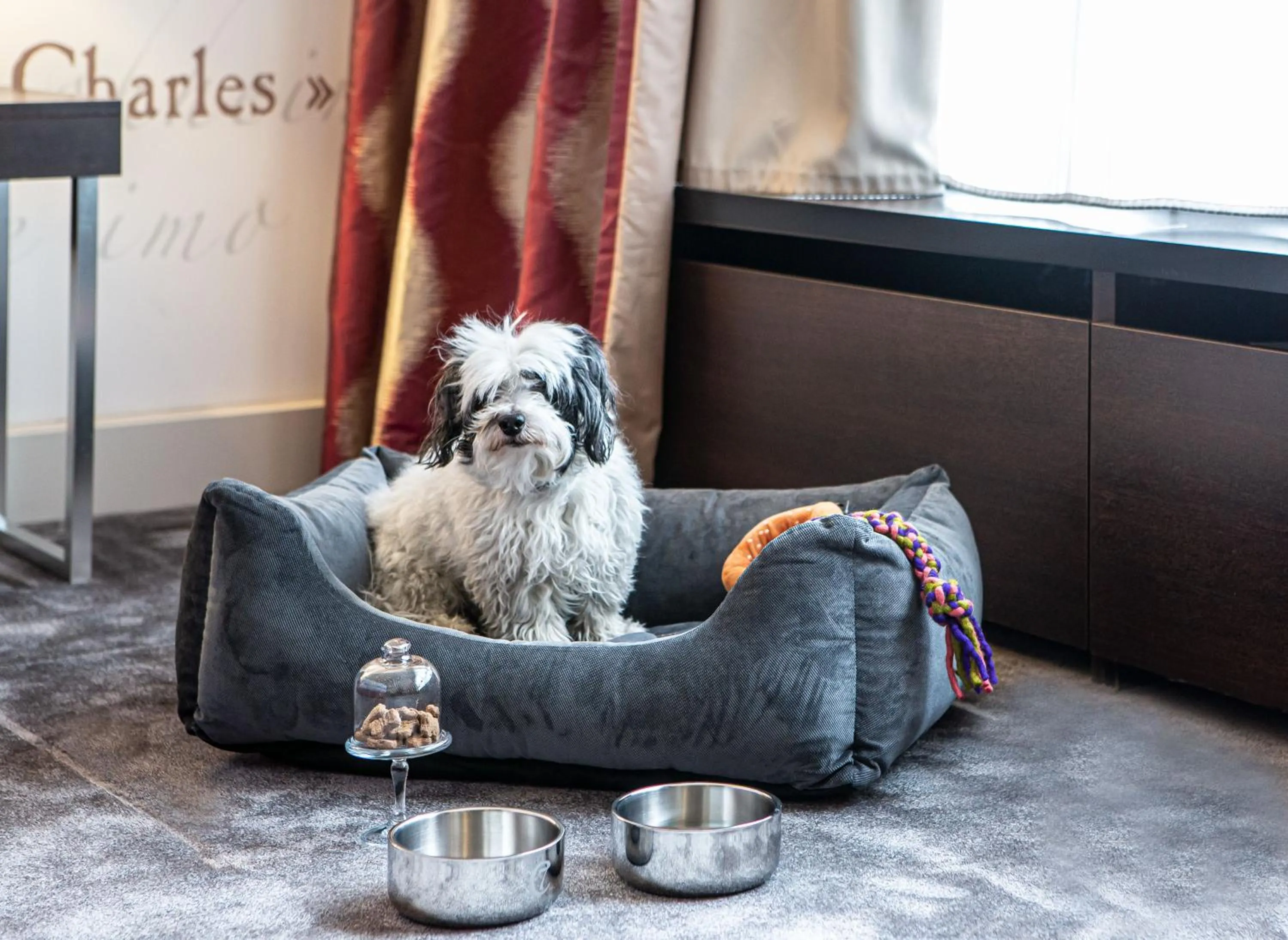Pets in Sofitel Strasbourg Grande Ile