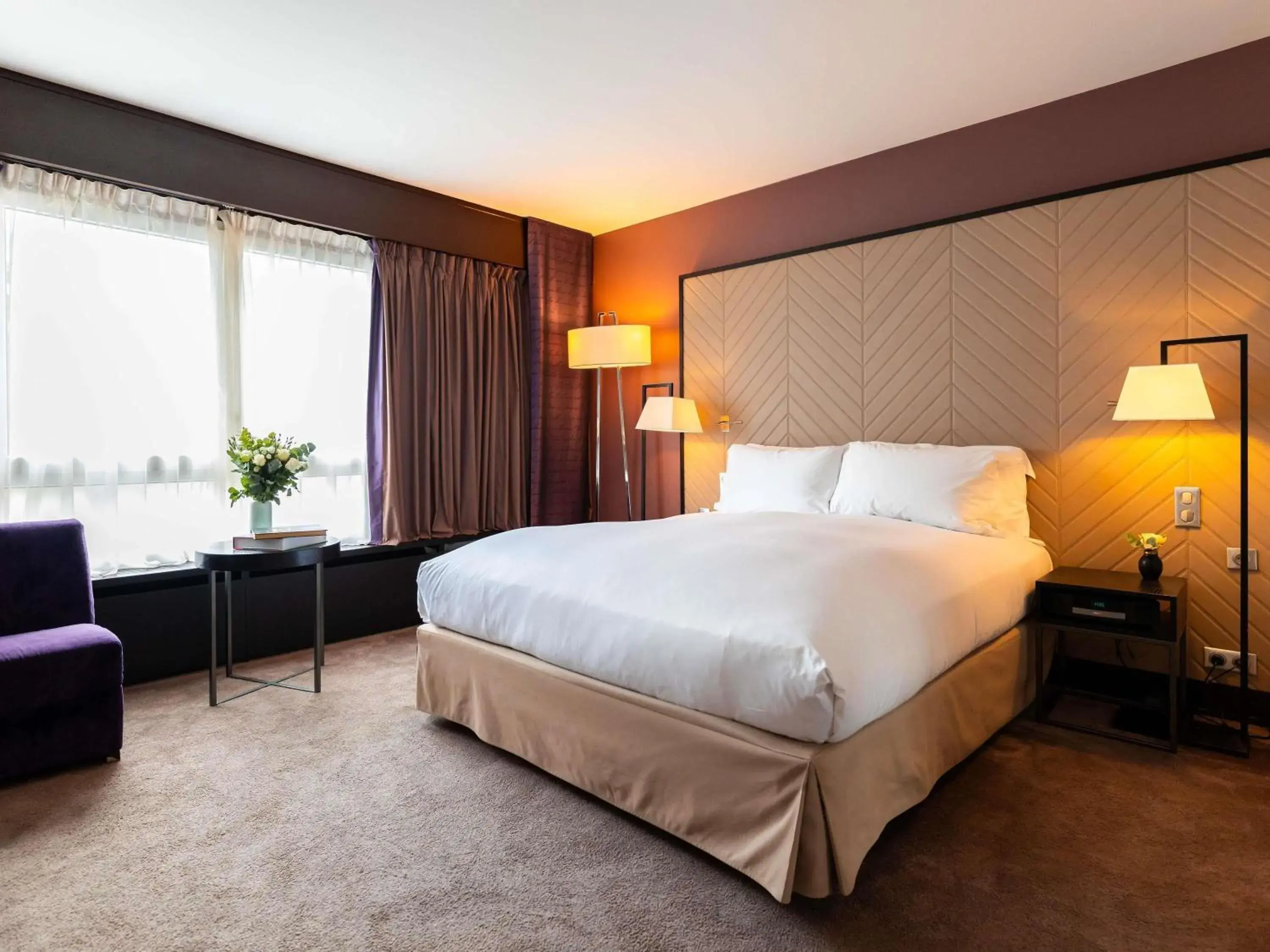 Accessible Luxury Room with One King Bed with View in Sofitel Strasbourg Grande Ile Accessible Luxury Room with One King Bed with View in Sofitel Strasbourg Grande Ile