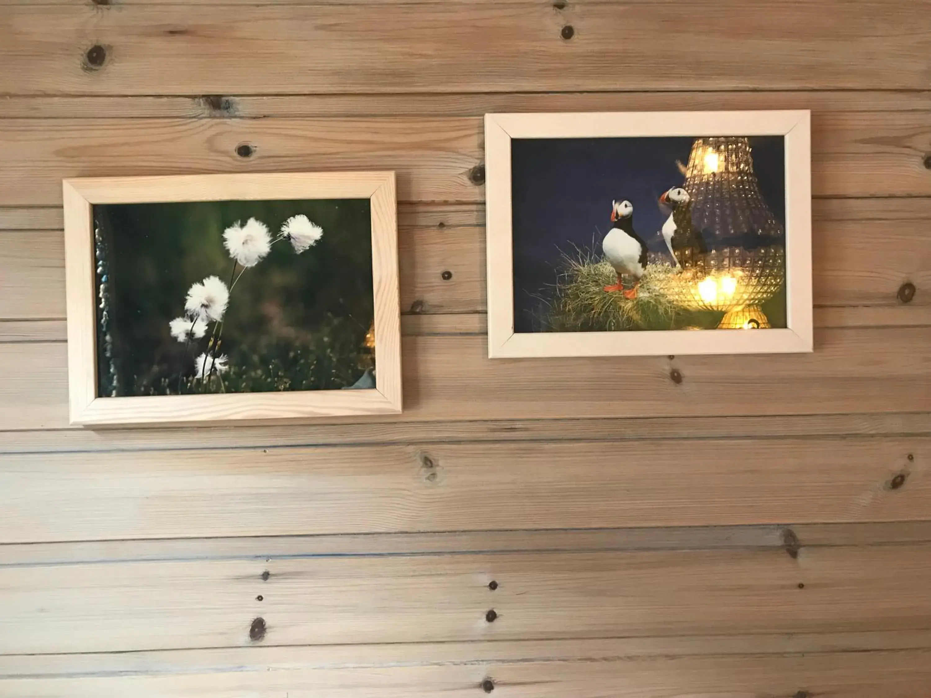 Twin Room with Shared Bathroom in Eidfjord Gjestgiveri Twin Room with Shared Bathroom in Eidfjord Gjestgiveri