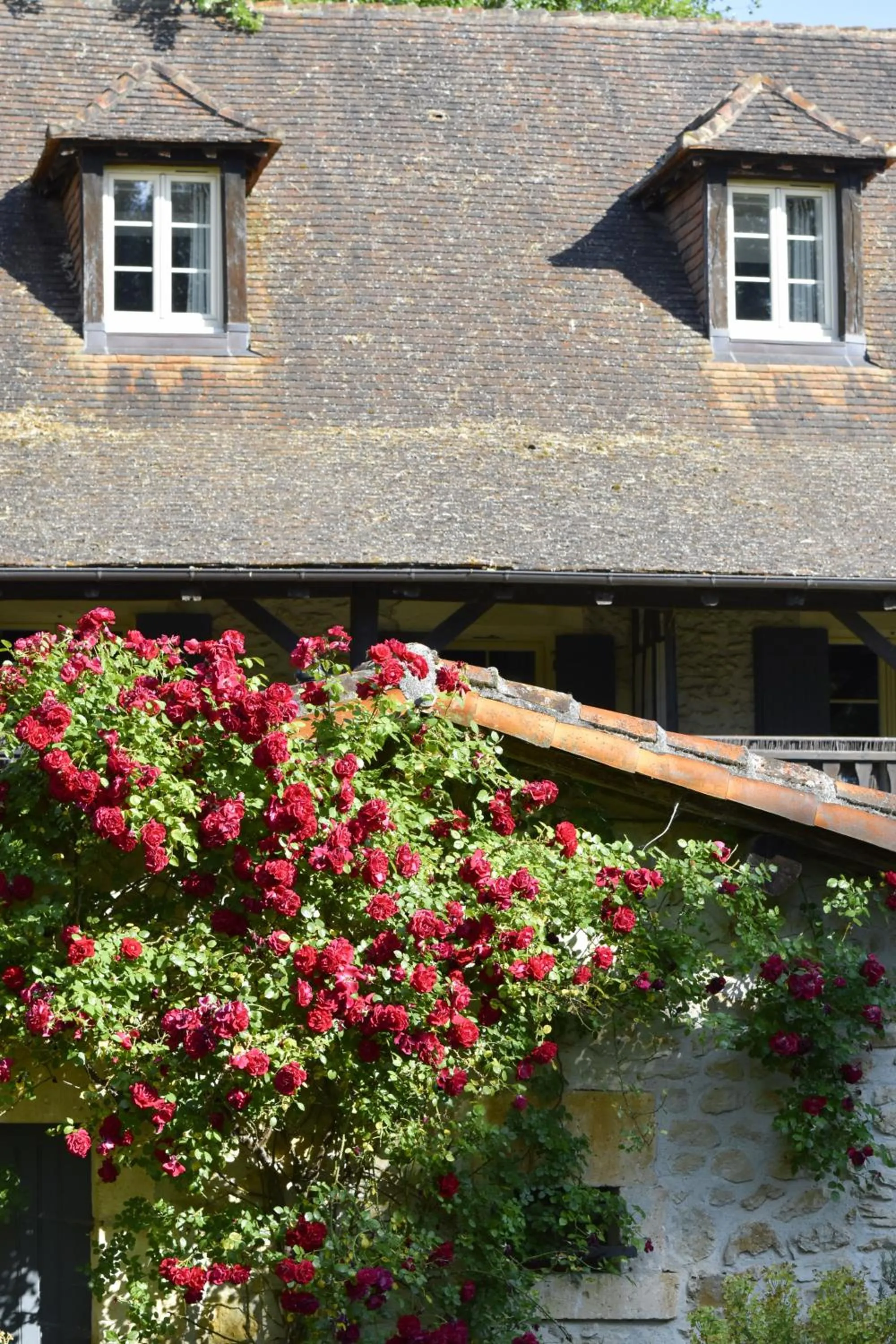 Garden in Le Mas Des Bories - Grand Perigueux