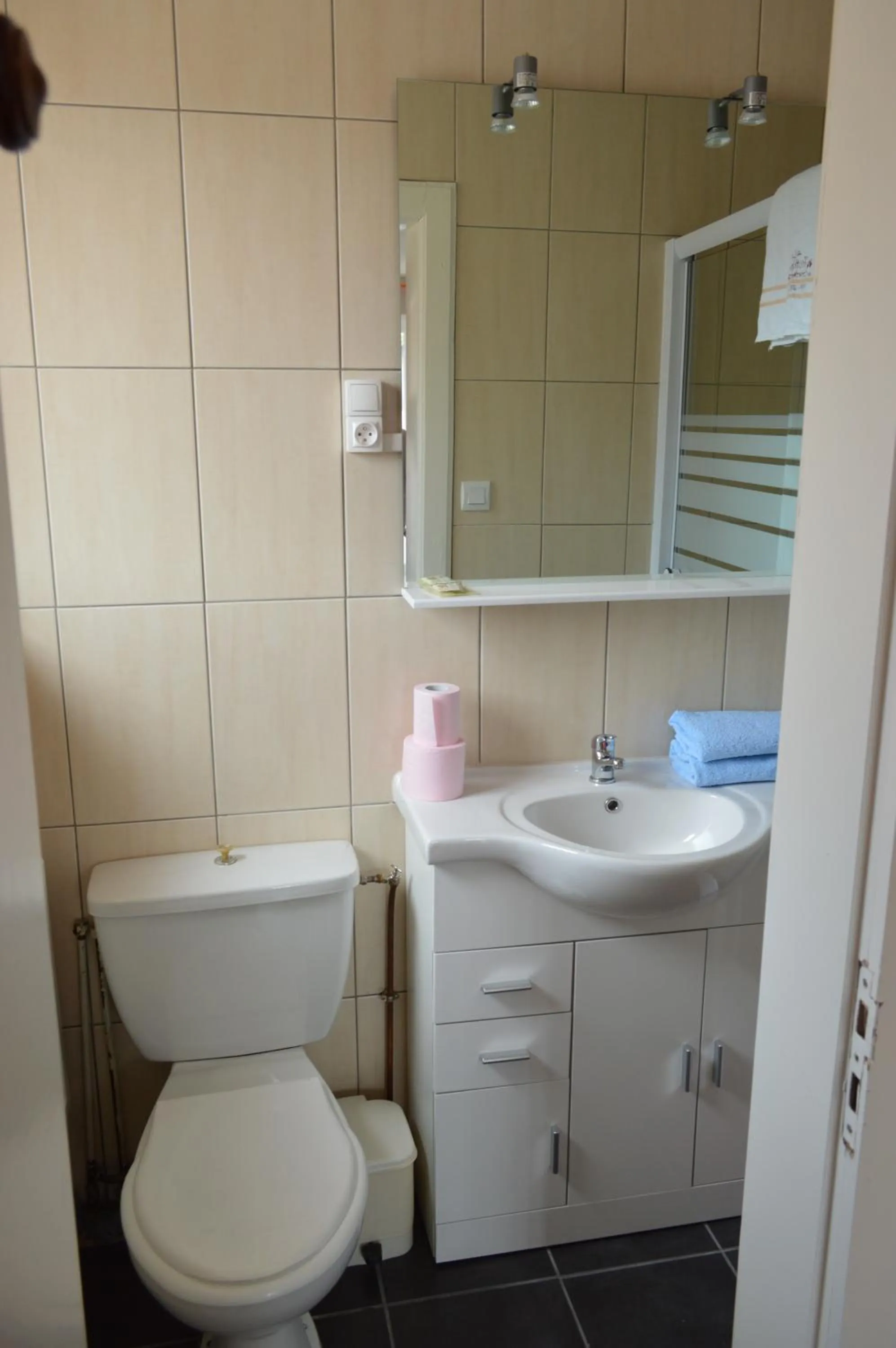 Toilet in Hôtel Timgad