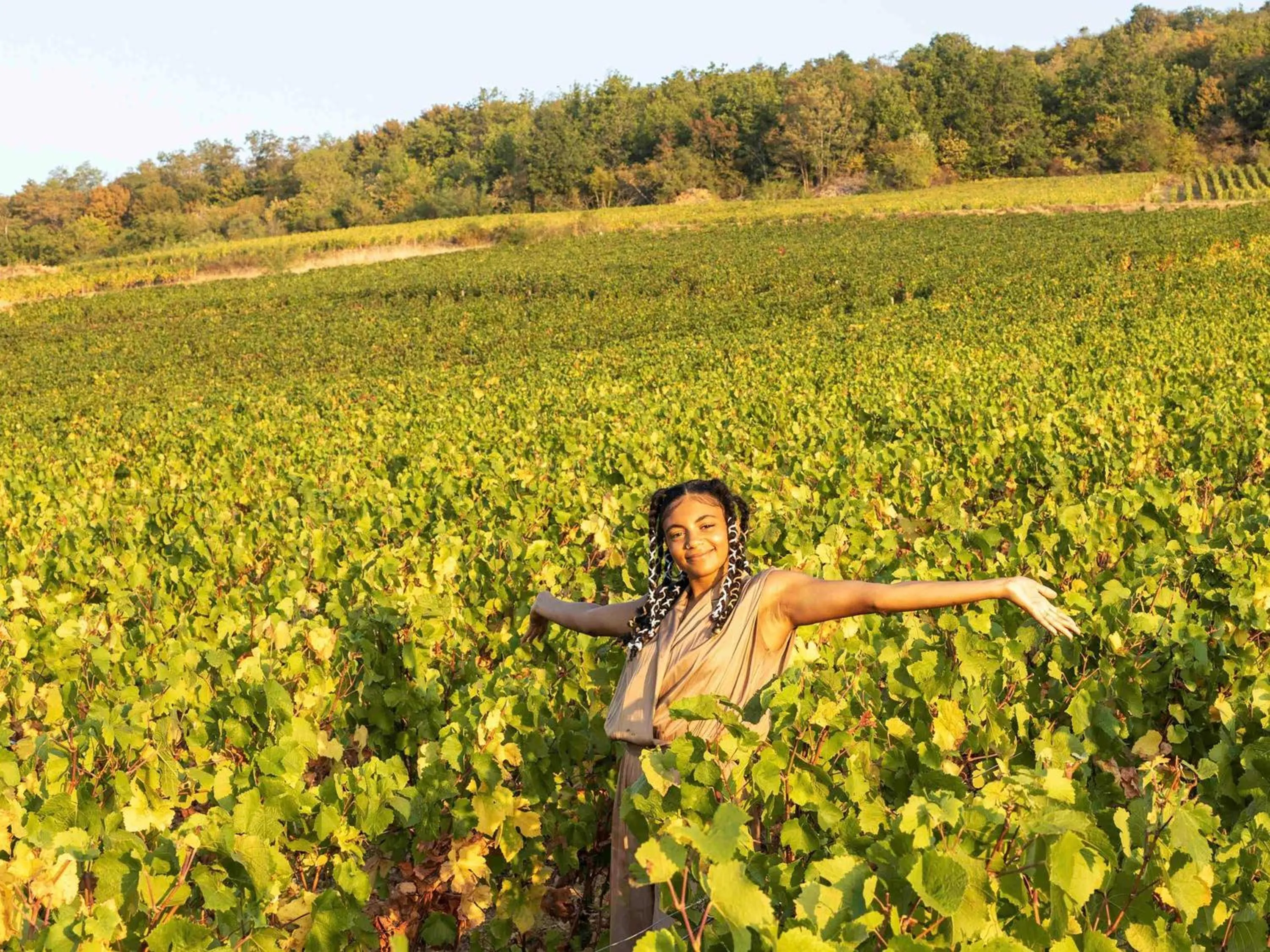Other in greet hôtel Annecy Cran-Gevrier by Accor