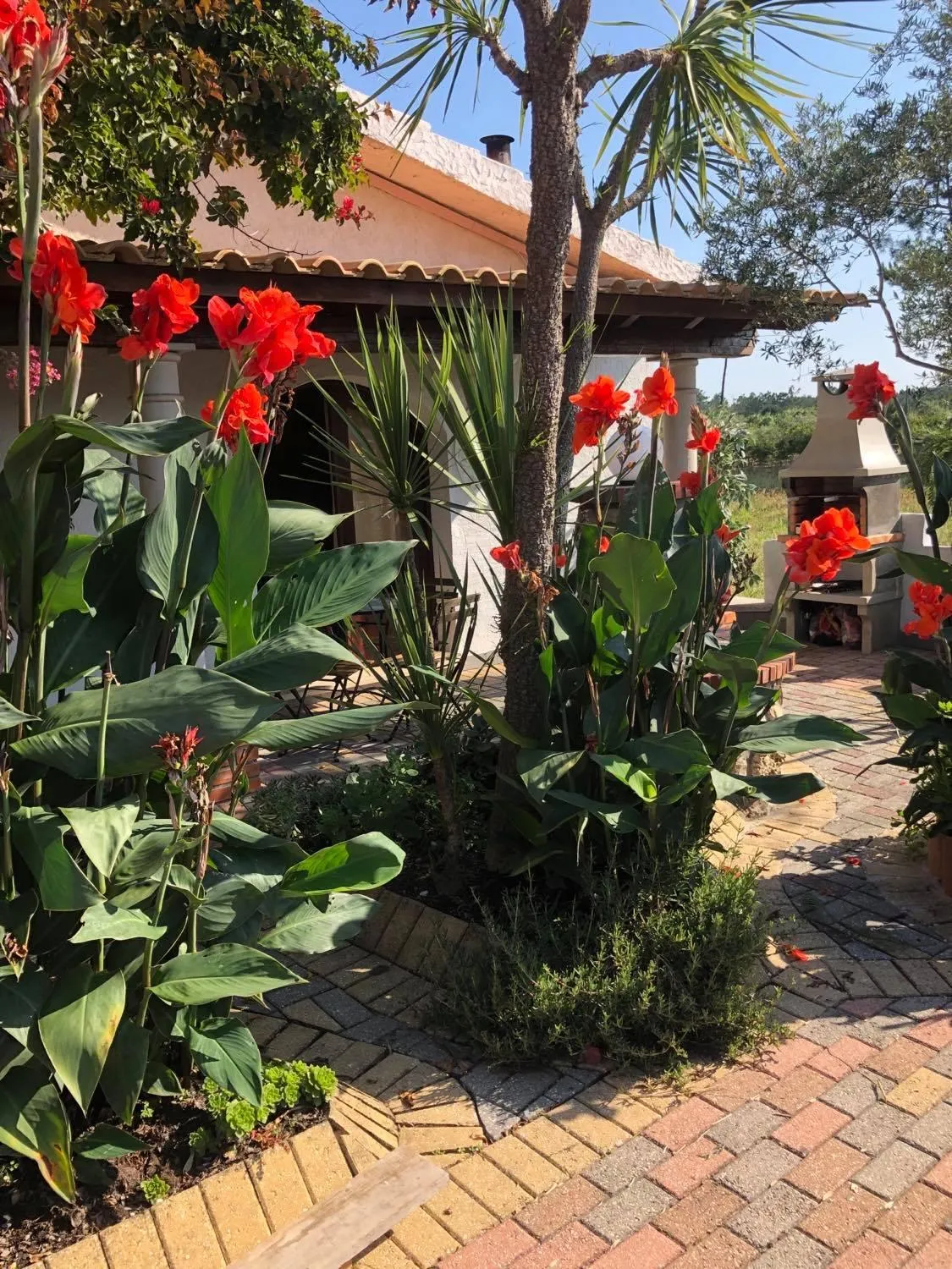 Garden view in Quinta Forum