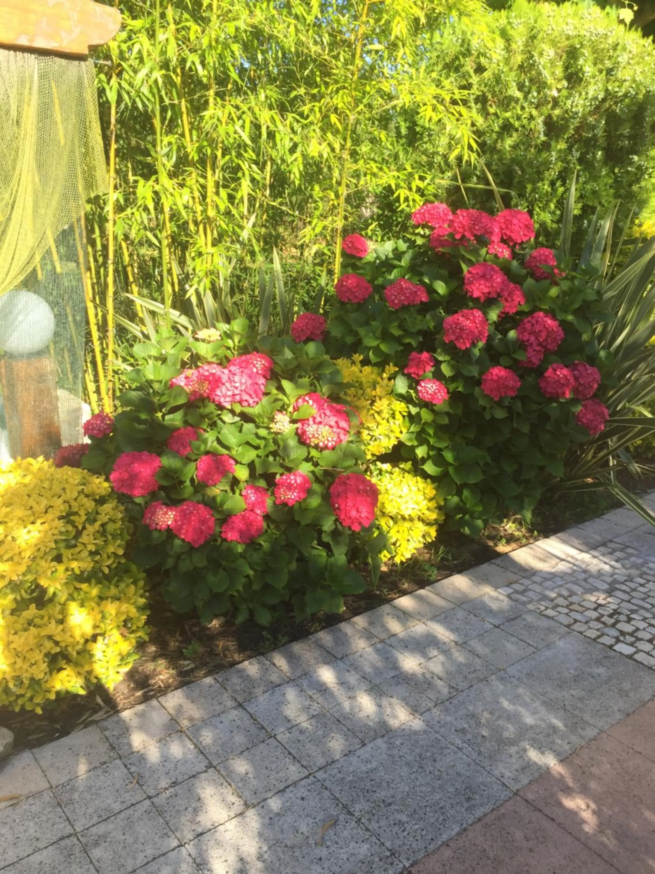 Garden in Quinta Forum