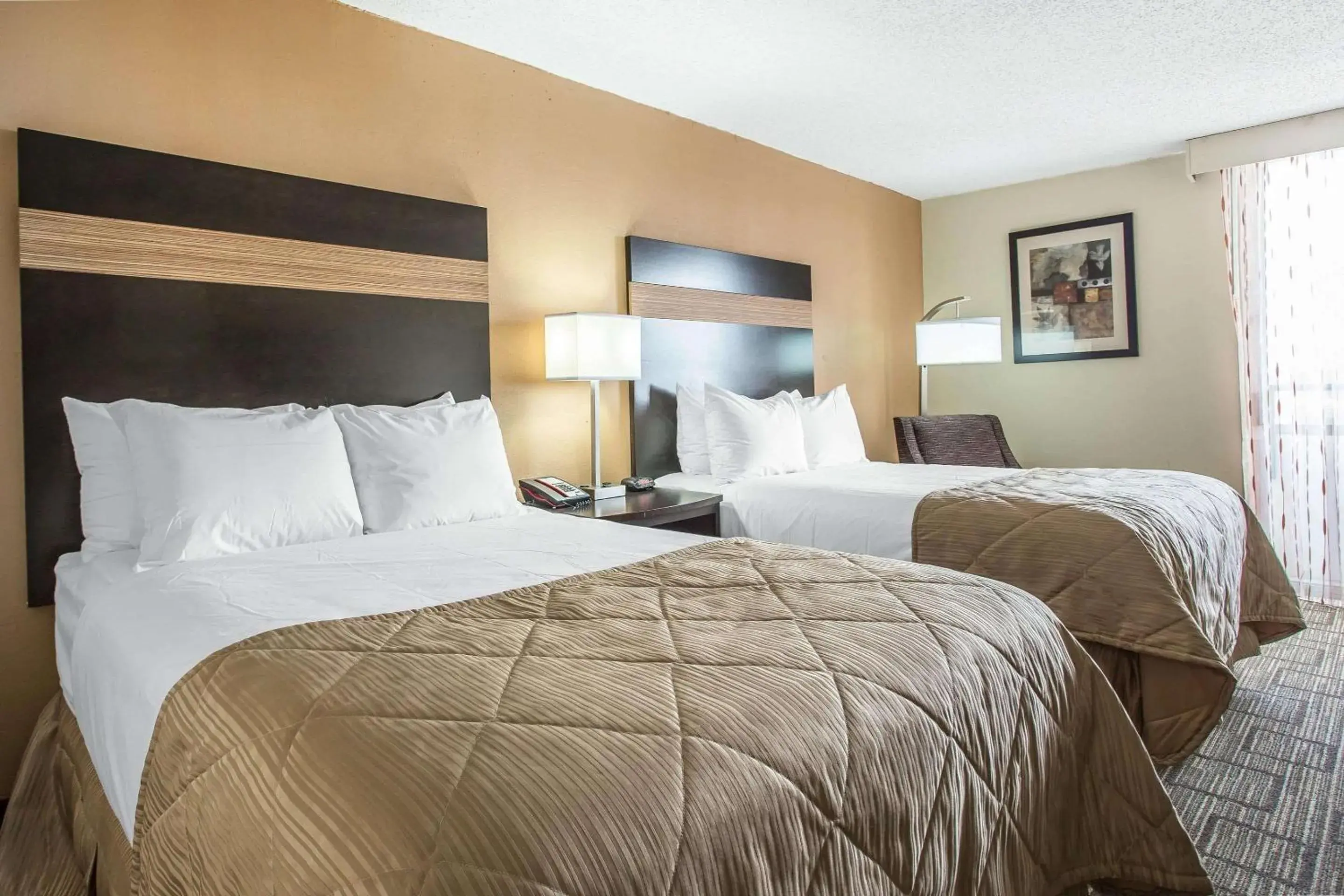 Photo of the whole room, Bed in Clarion Hotel Fort Mill Near Amusement Park