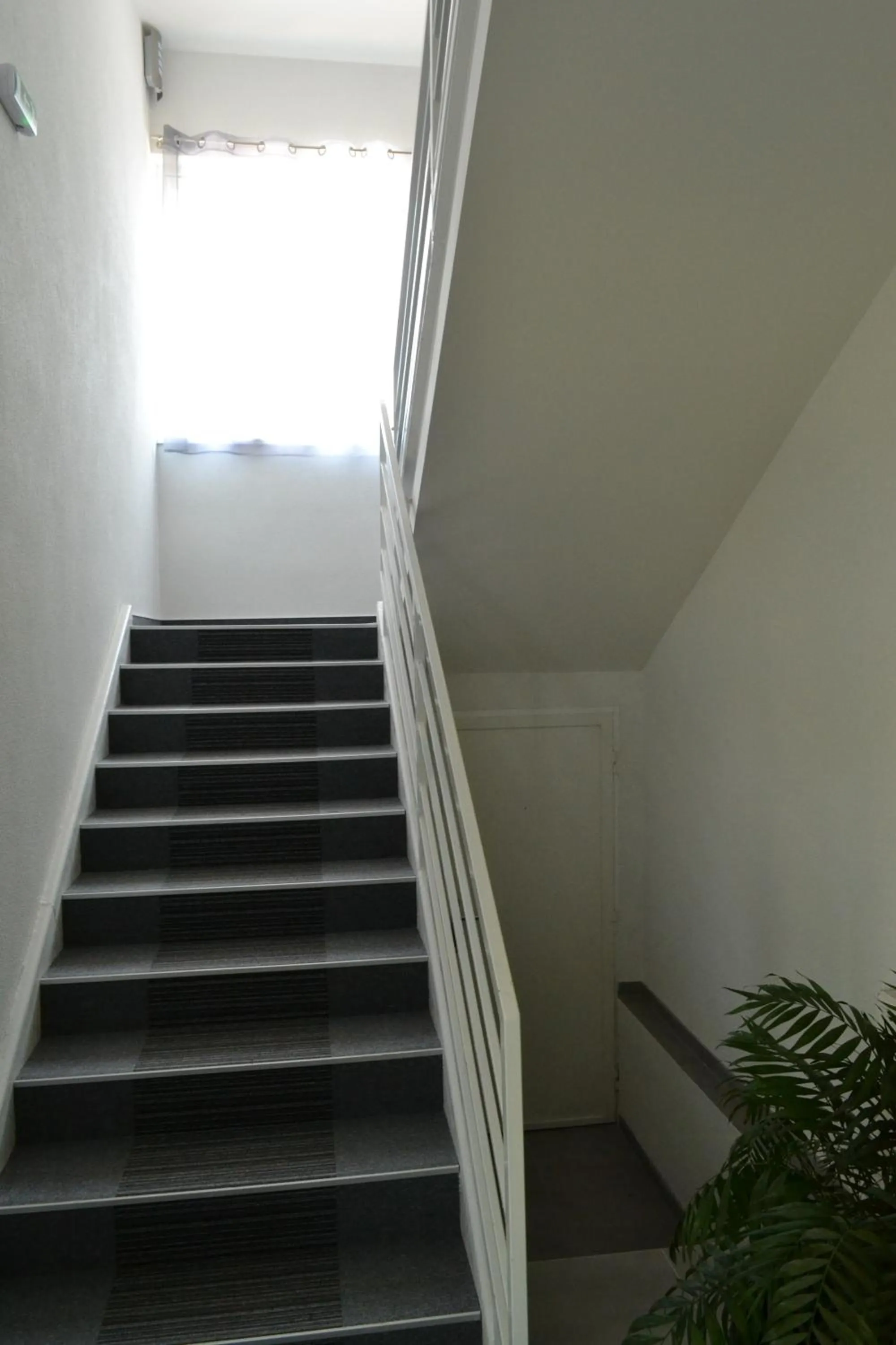 Facade/entrance in Garni Hotel 31