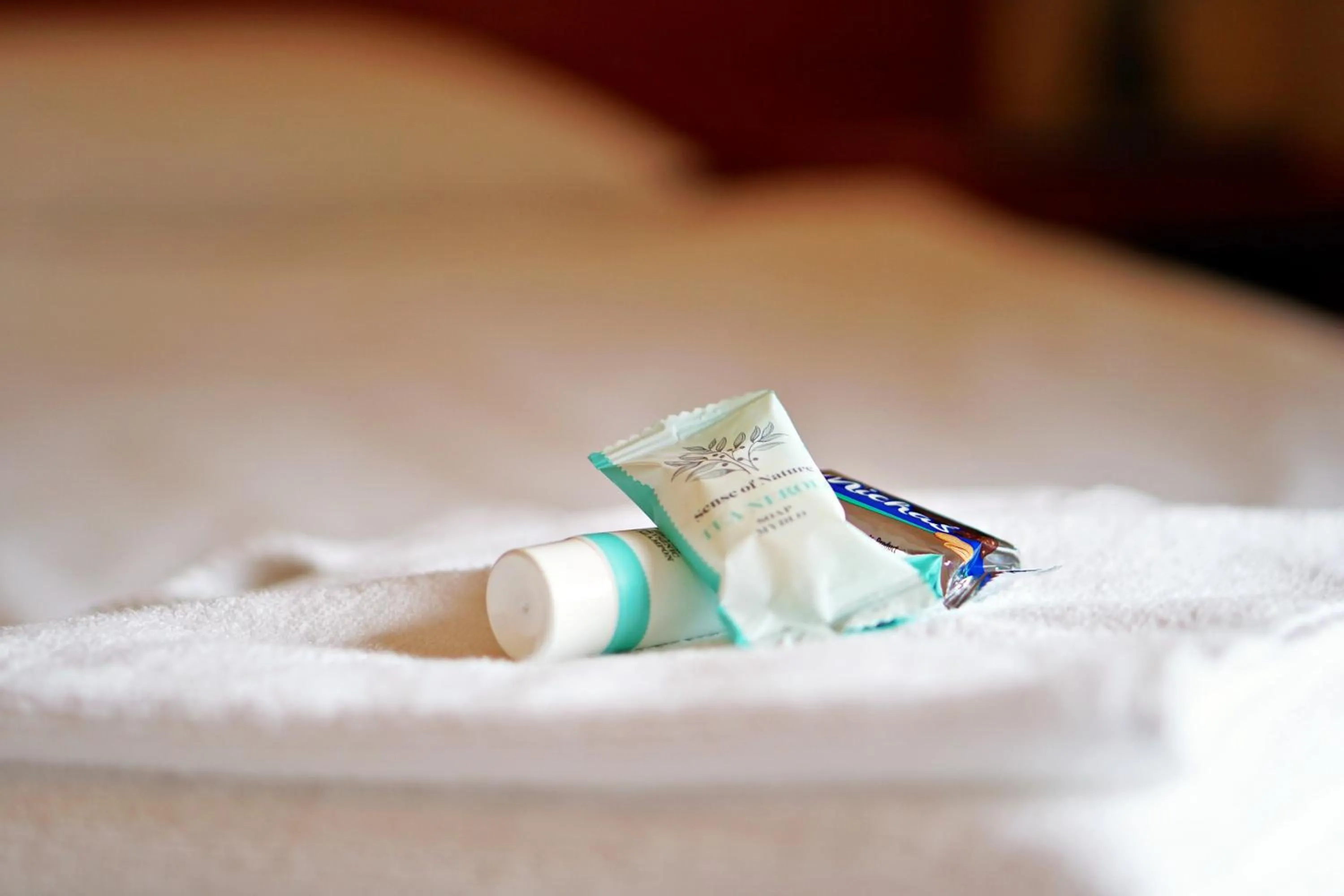 Photo of the whole room, Bed in Dw¿r ?wi?tosz¿wka