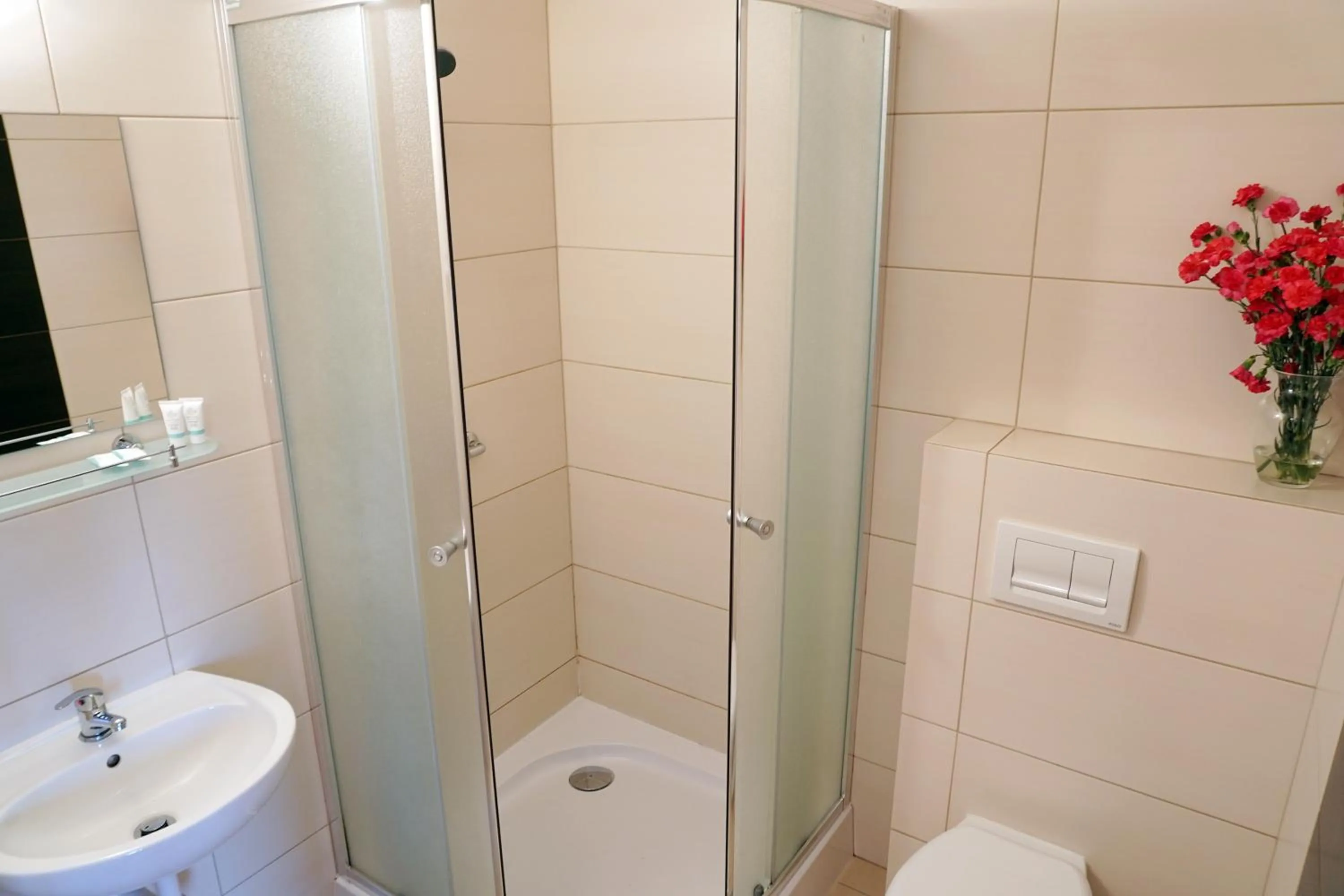 Bathroom in Dw¿r ?wi?tosz¿wka