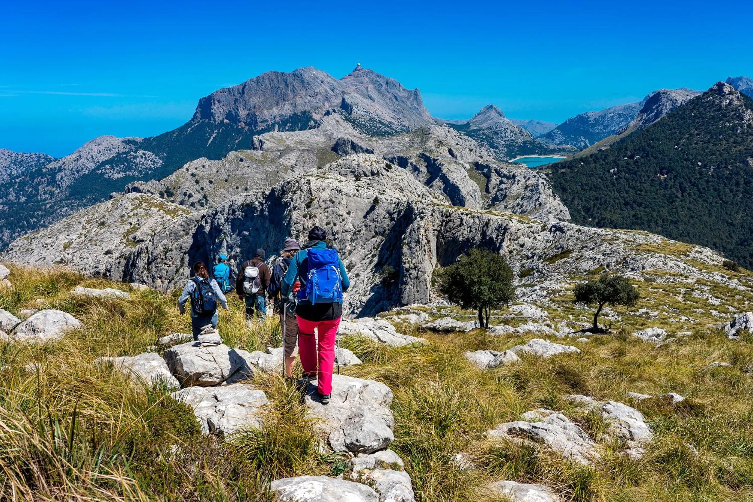 Activities in New Can Furios Hotel by Can Calco Hotels