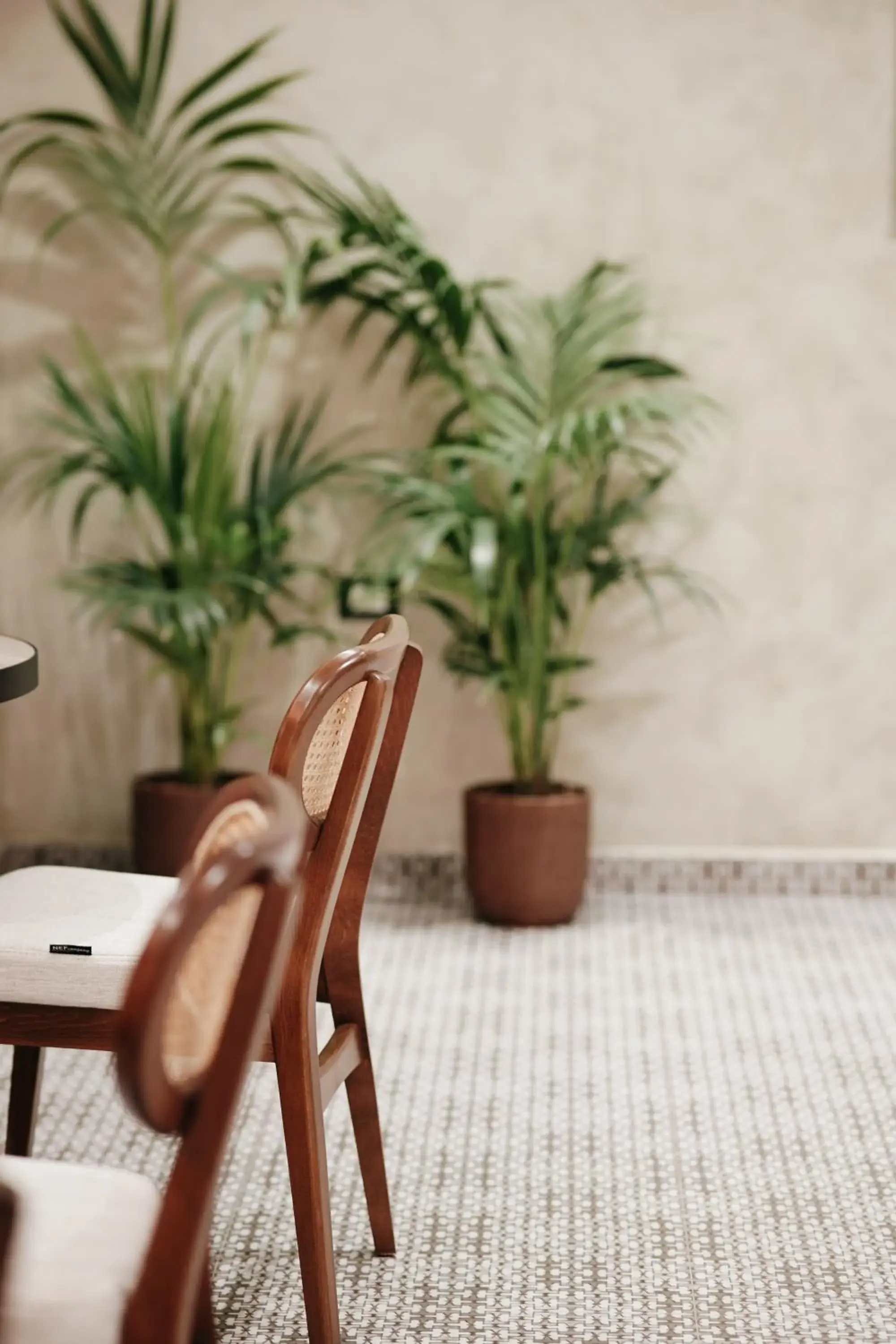 Breakfast in Hotel Jaroal Breakfast in Hotel Jaroal