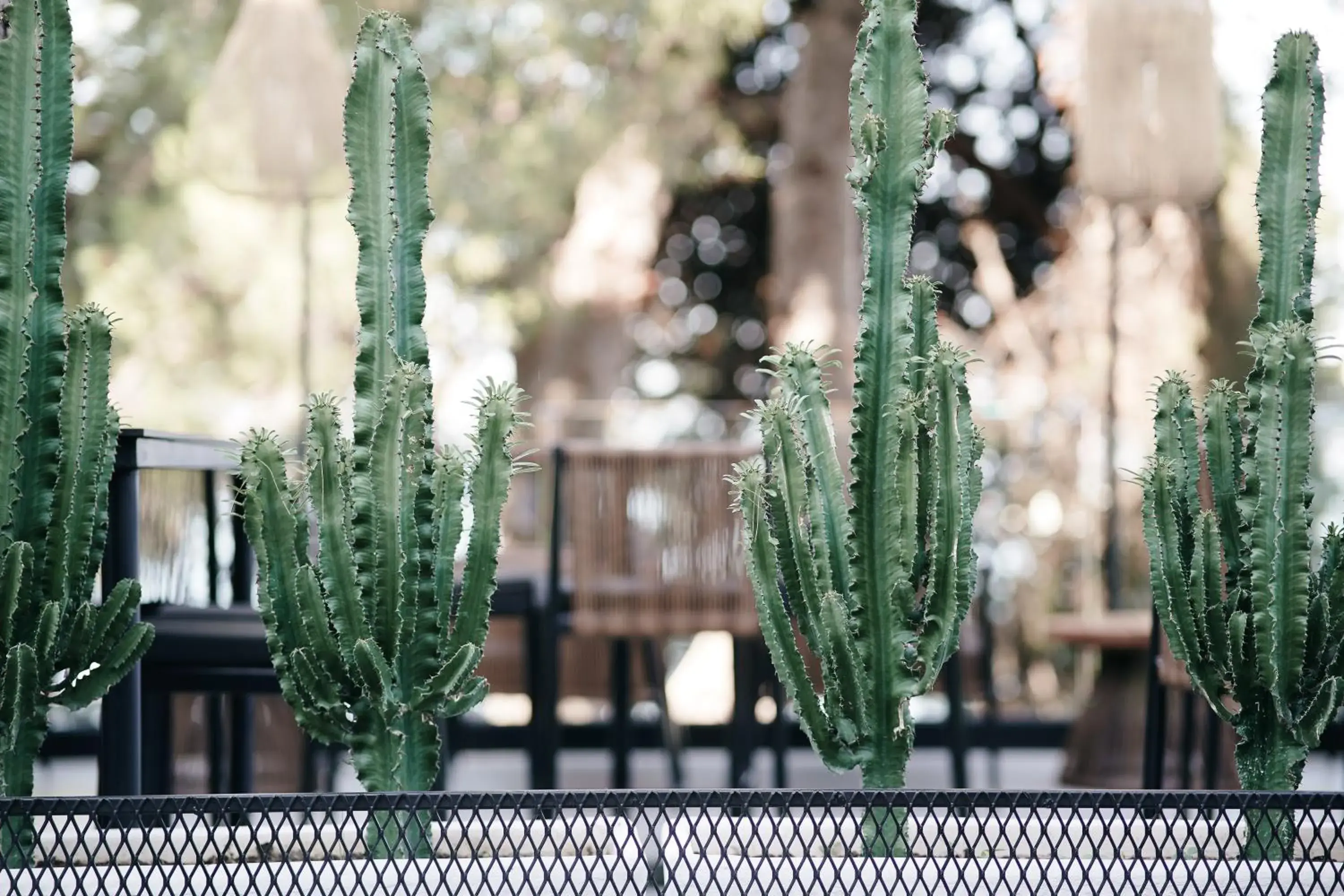 Lounge or bar in Hotel Jaroal Lounge or bar in Hotel Jaroal