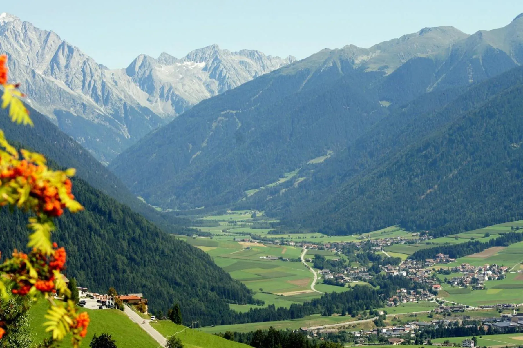 Natural landscape in Pizzeria Restaurant Wieser