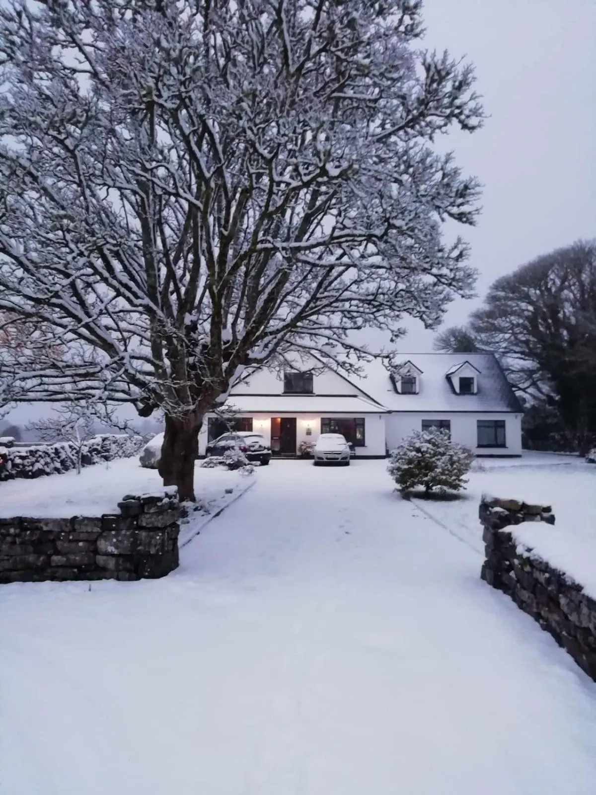 Mountain View Guesthouse