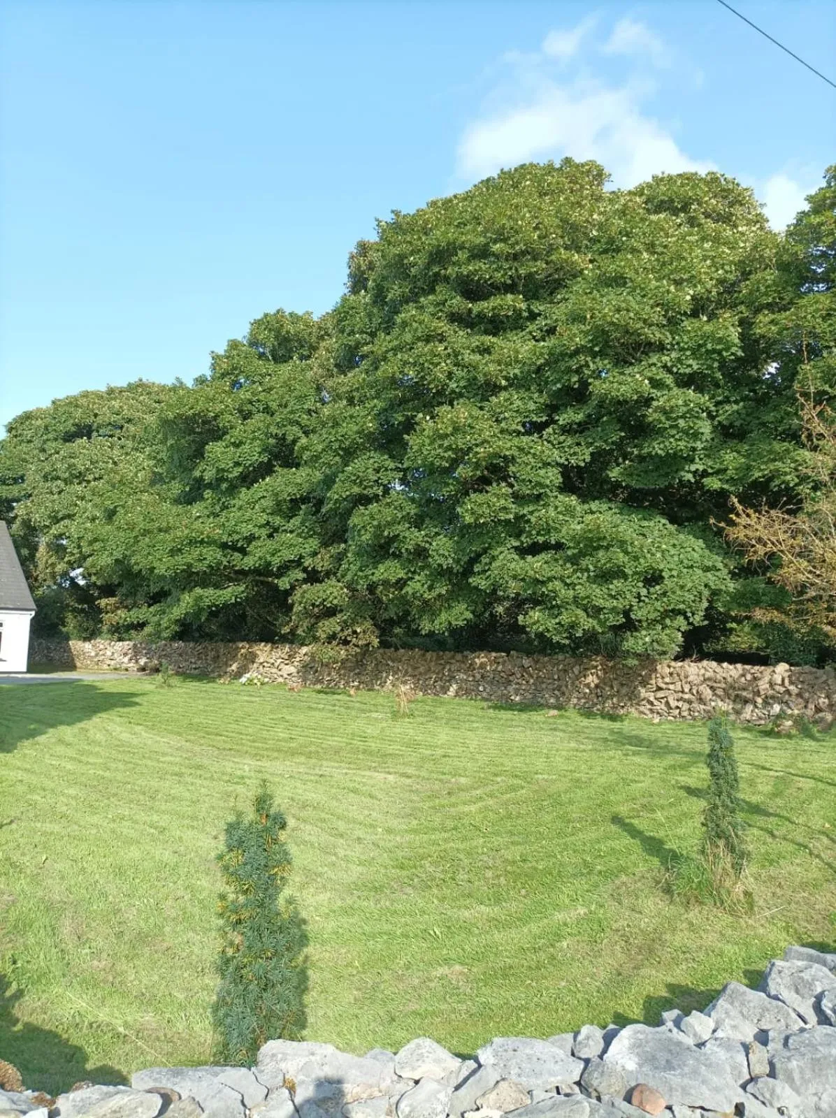 Mountain View Guesthouse