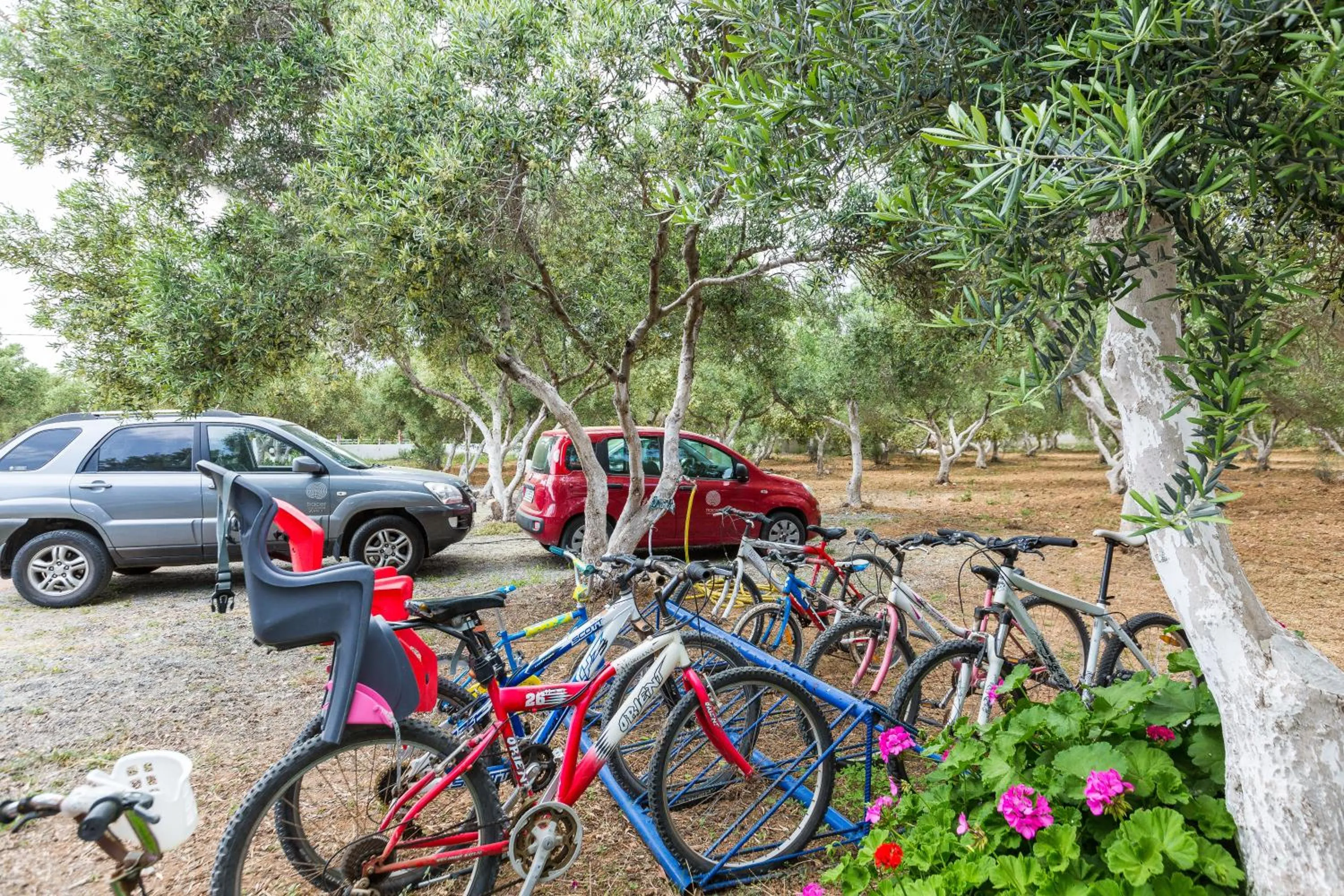 Cycling in Fata Morgana Studios & Apartments