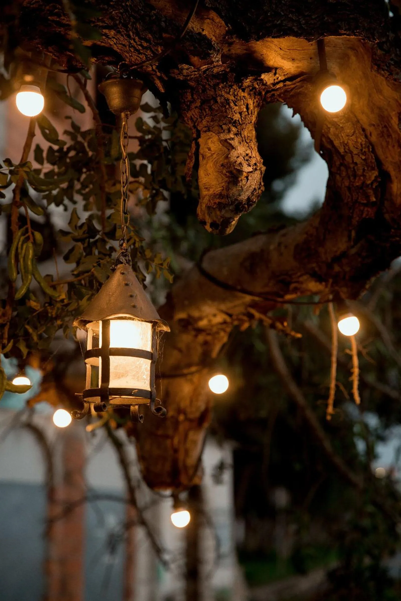 Decorative detail in Carrubba