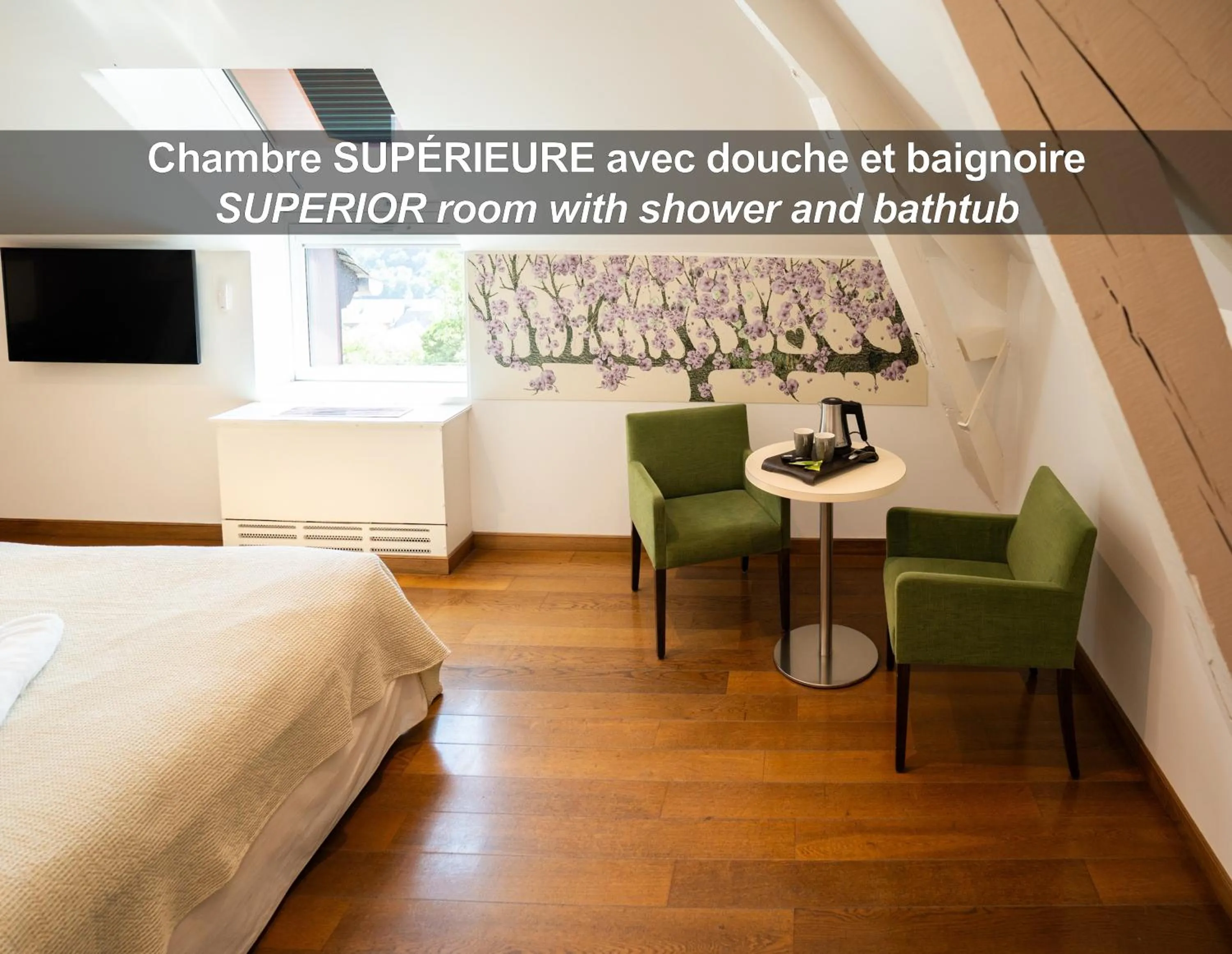 TV and multimedia, Bed in La Ferme de Bourran