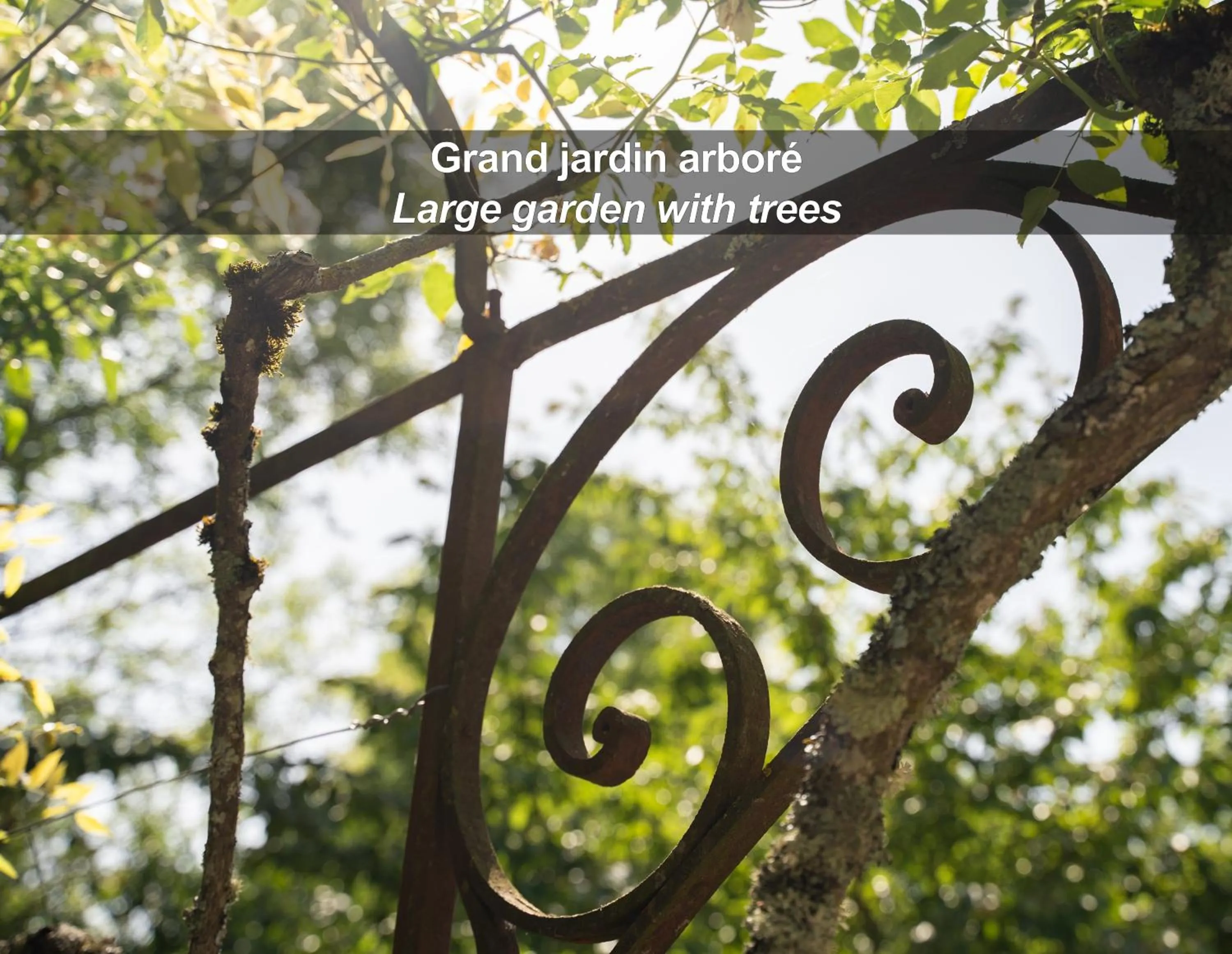 Garden in La Ferme de Bourran