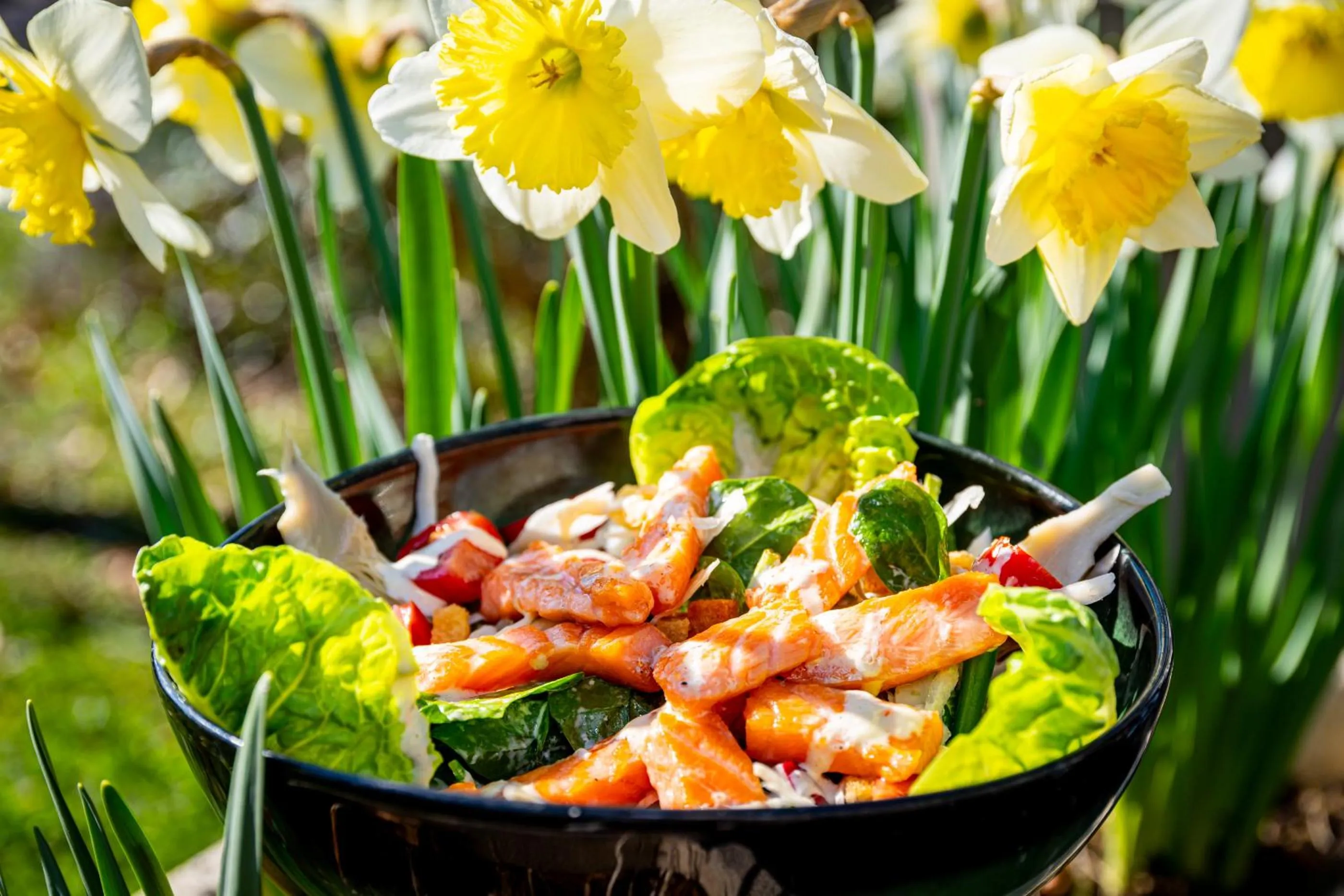 Spring in Mercure Beaune Centre