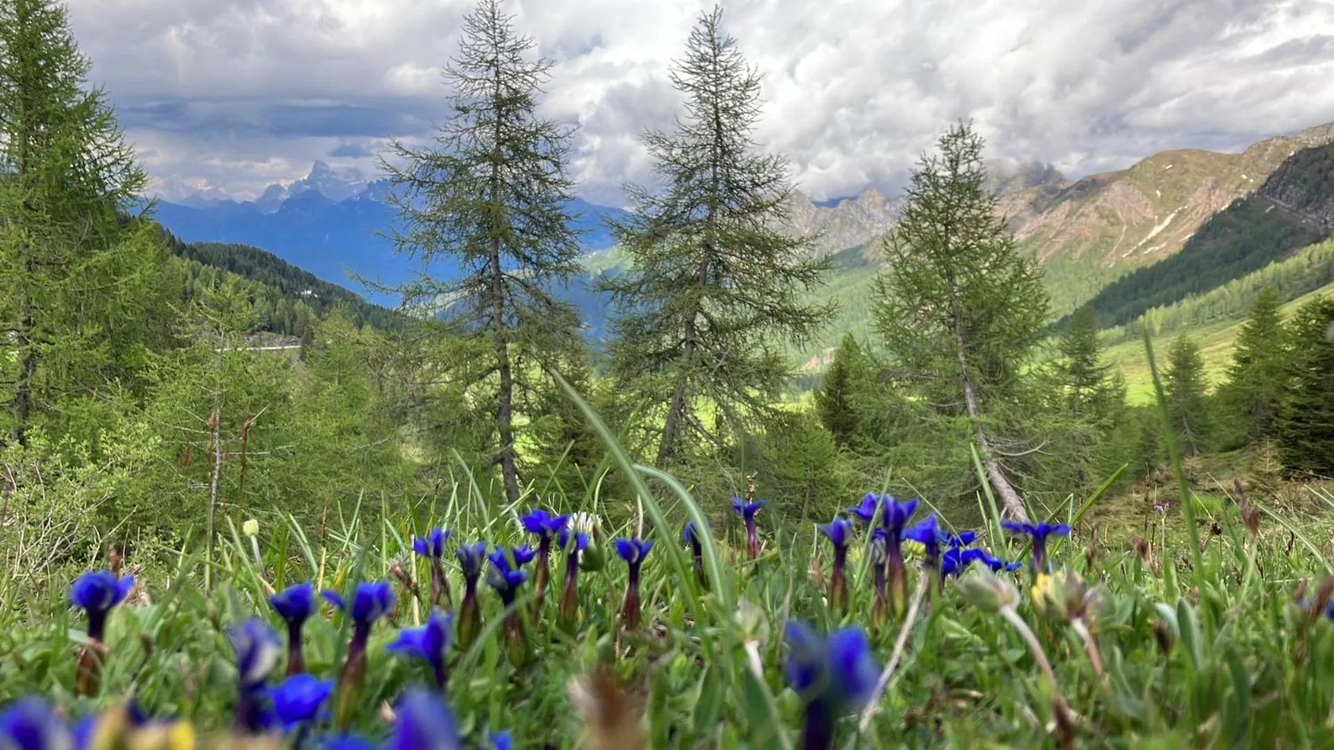 Spring in Hotel Garnì Salvanel