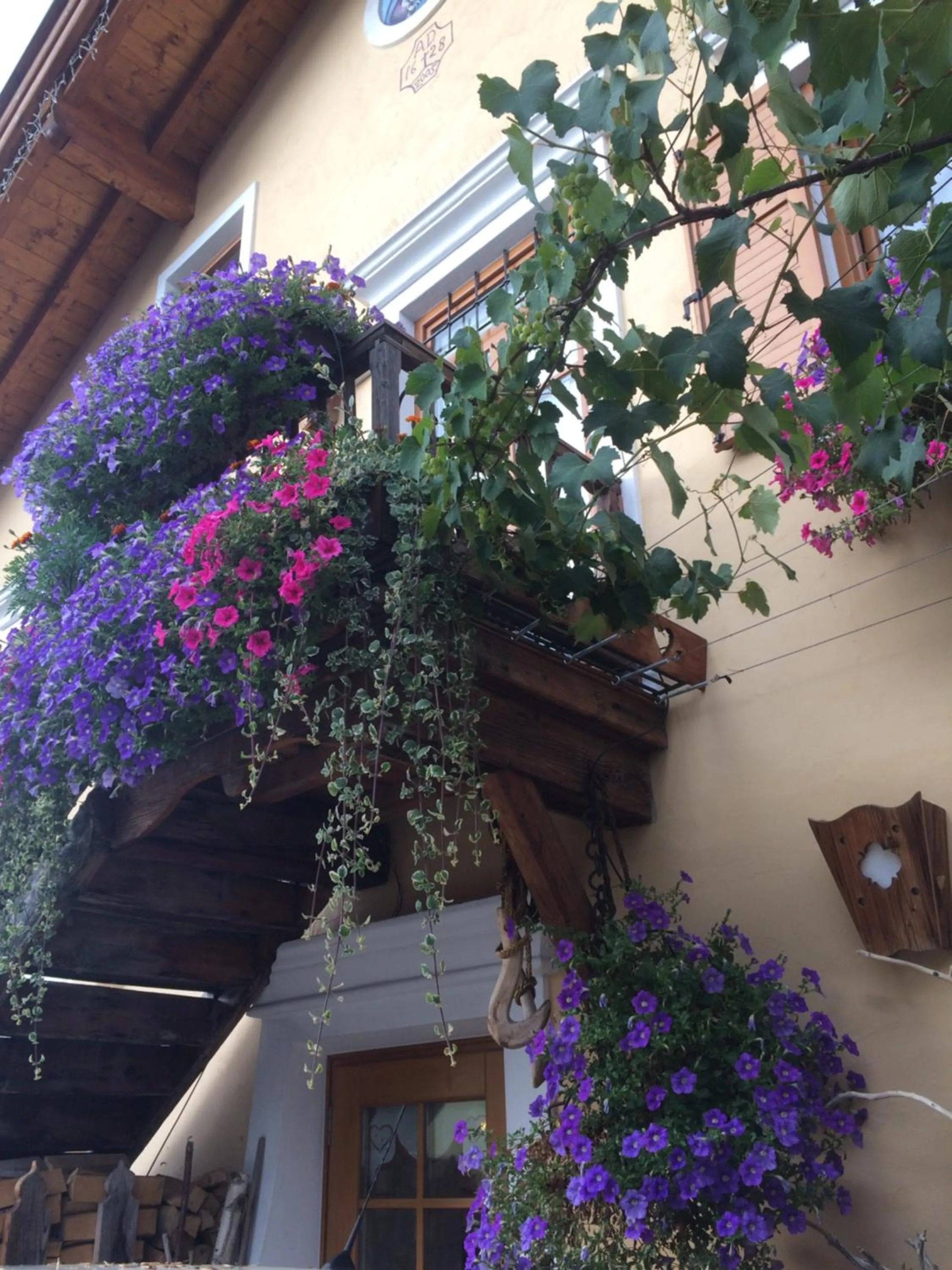 Facade/entrance in Hotel Garnì Salvanel