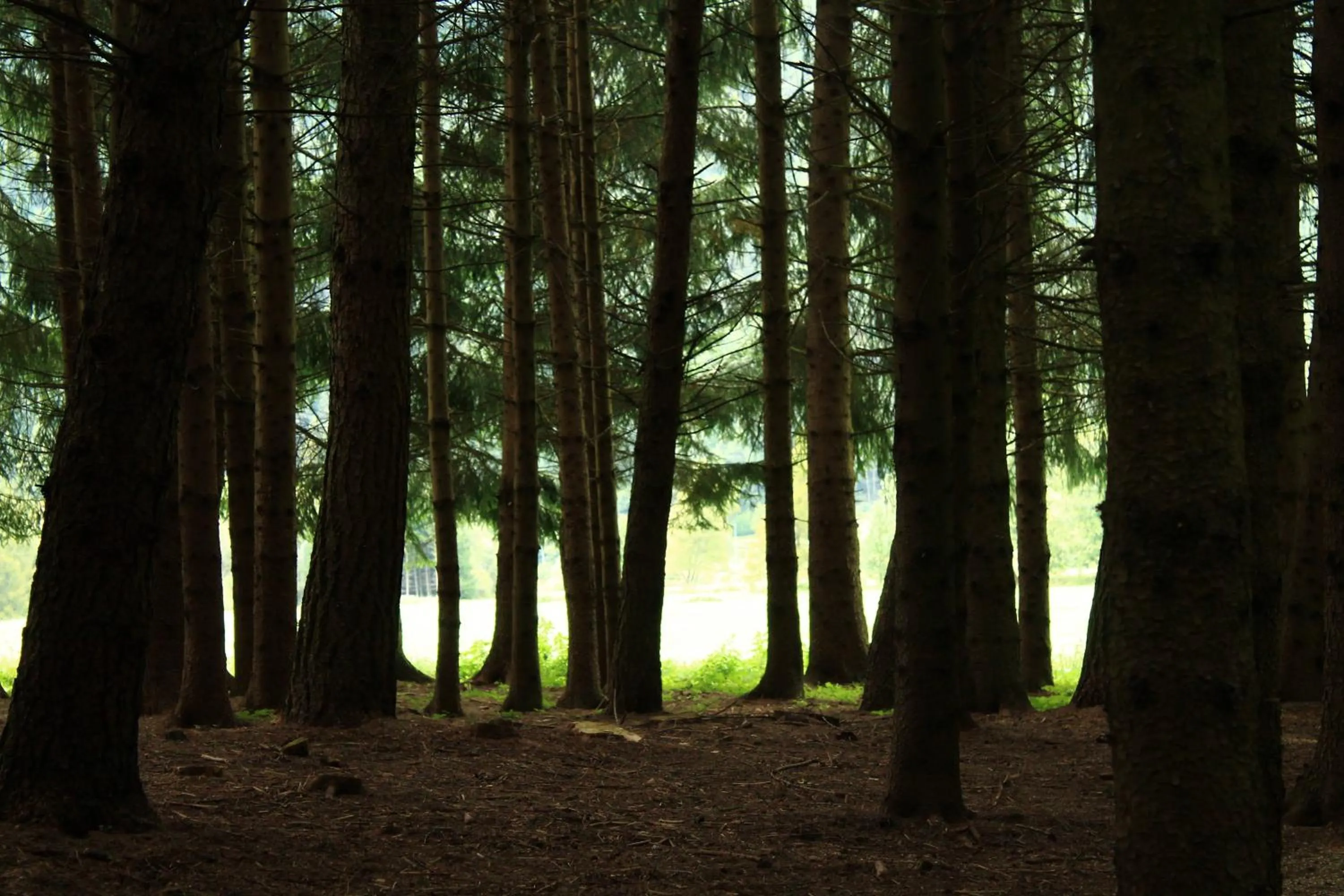 Spring in Hotel Garnì Salvanel
