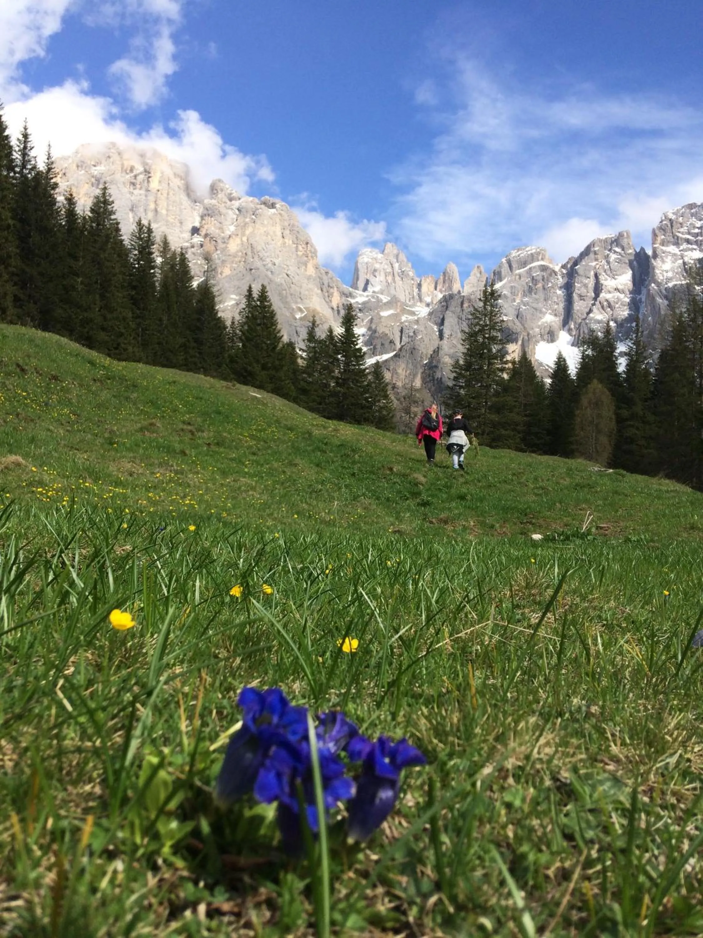 Sports in Hotel Garnì Salvanel