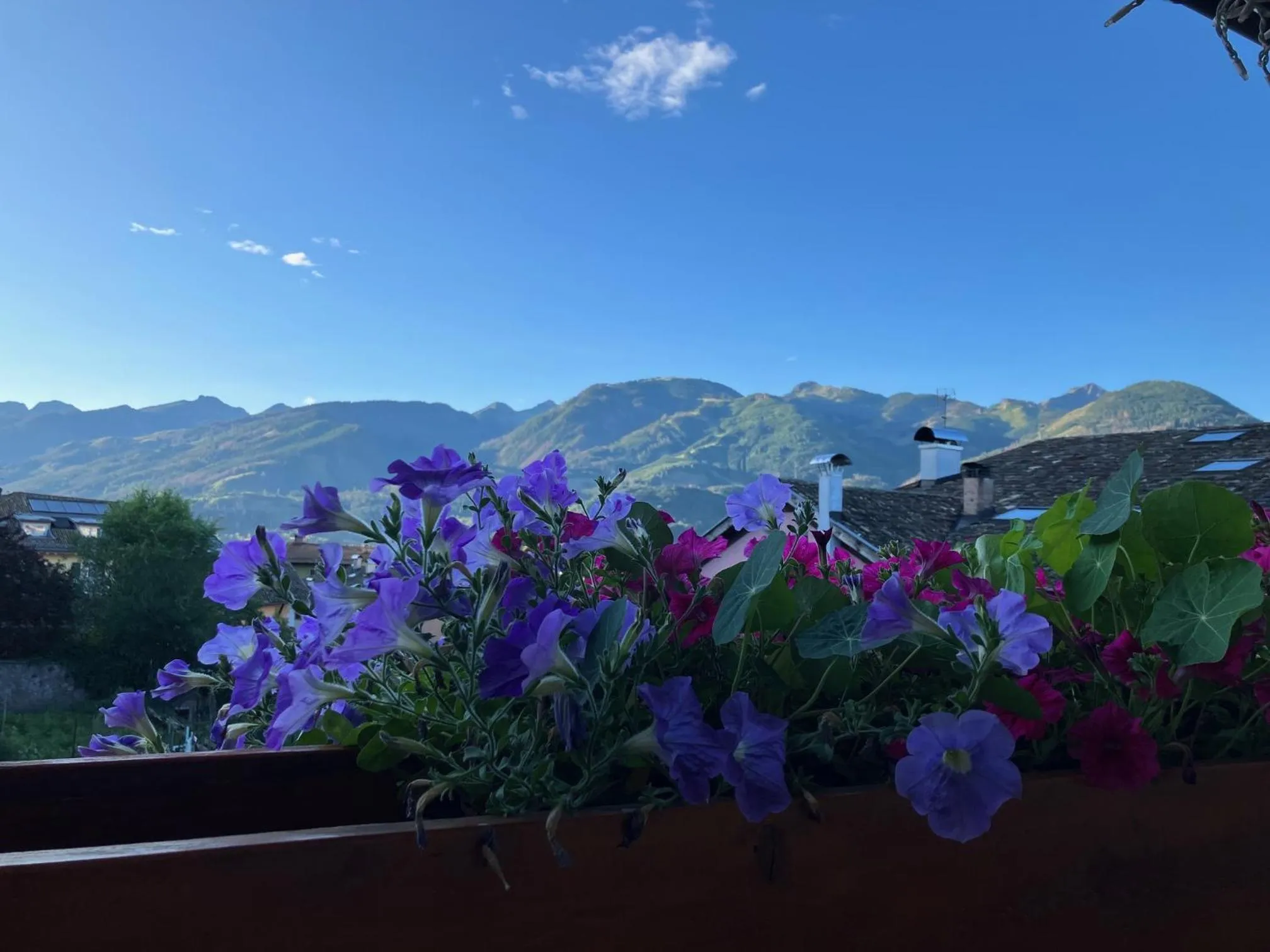 Summer in Hotel Garnì Salvanel