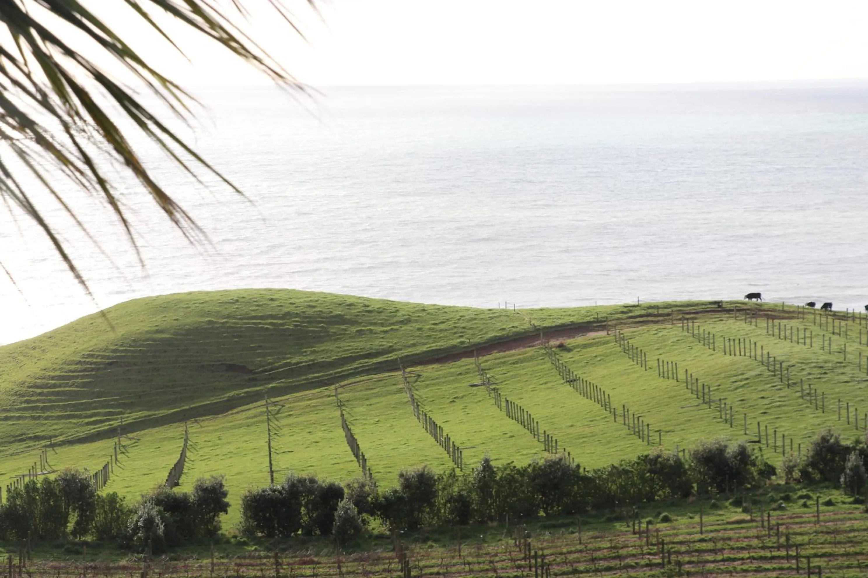 Natural landscape in Chalets at Okurukuru