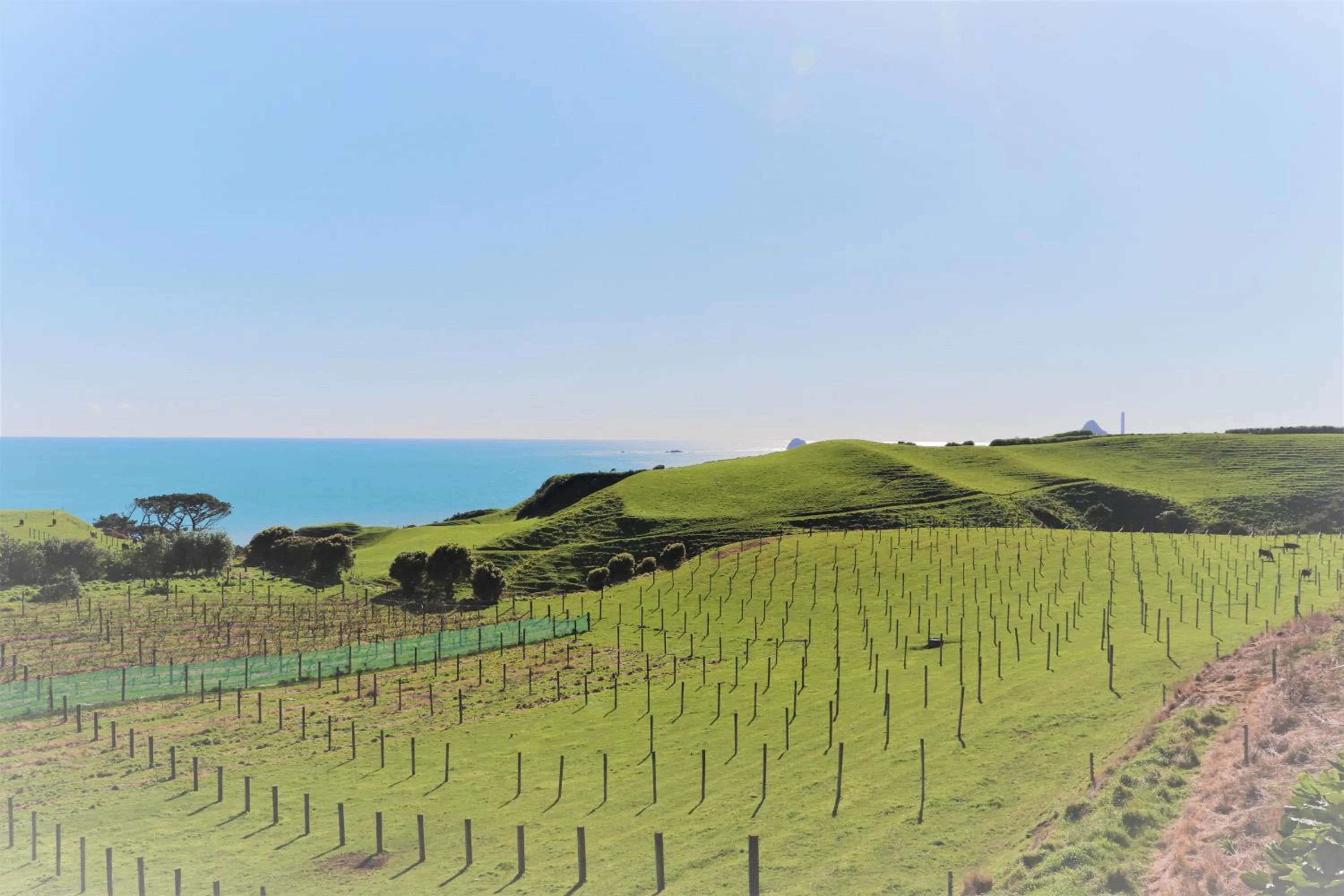 Natural landscape in Chalets at Okurukuru