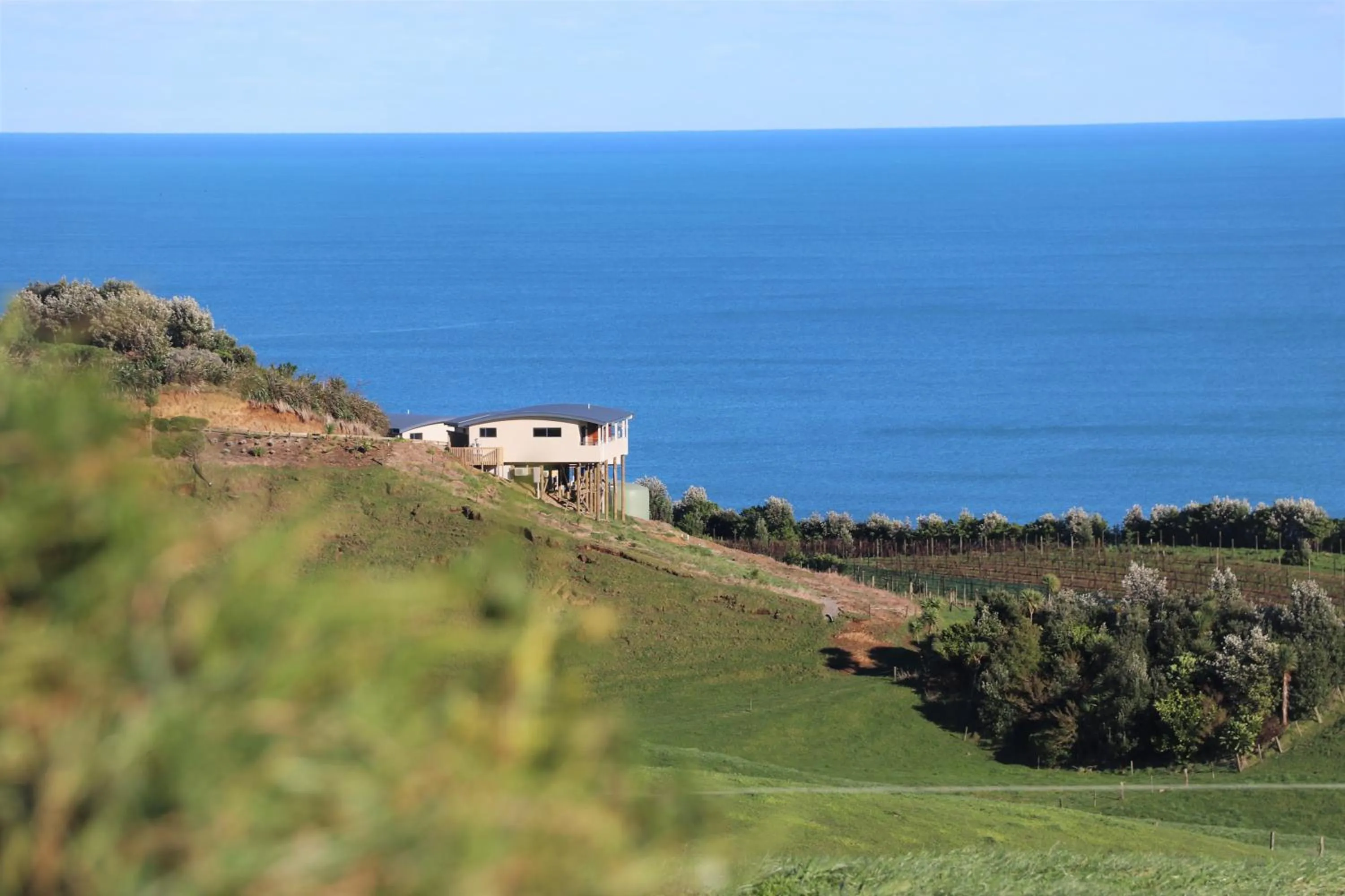 Natural landscape in Chalets at Okurukuru