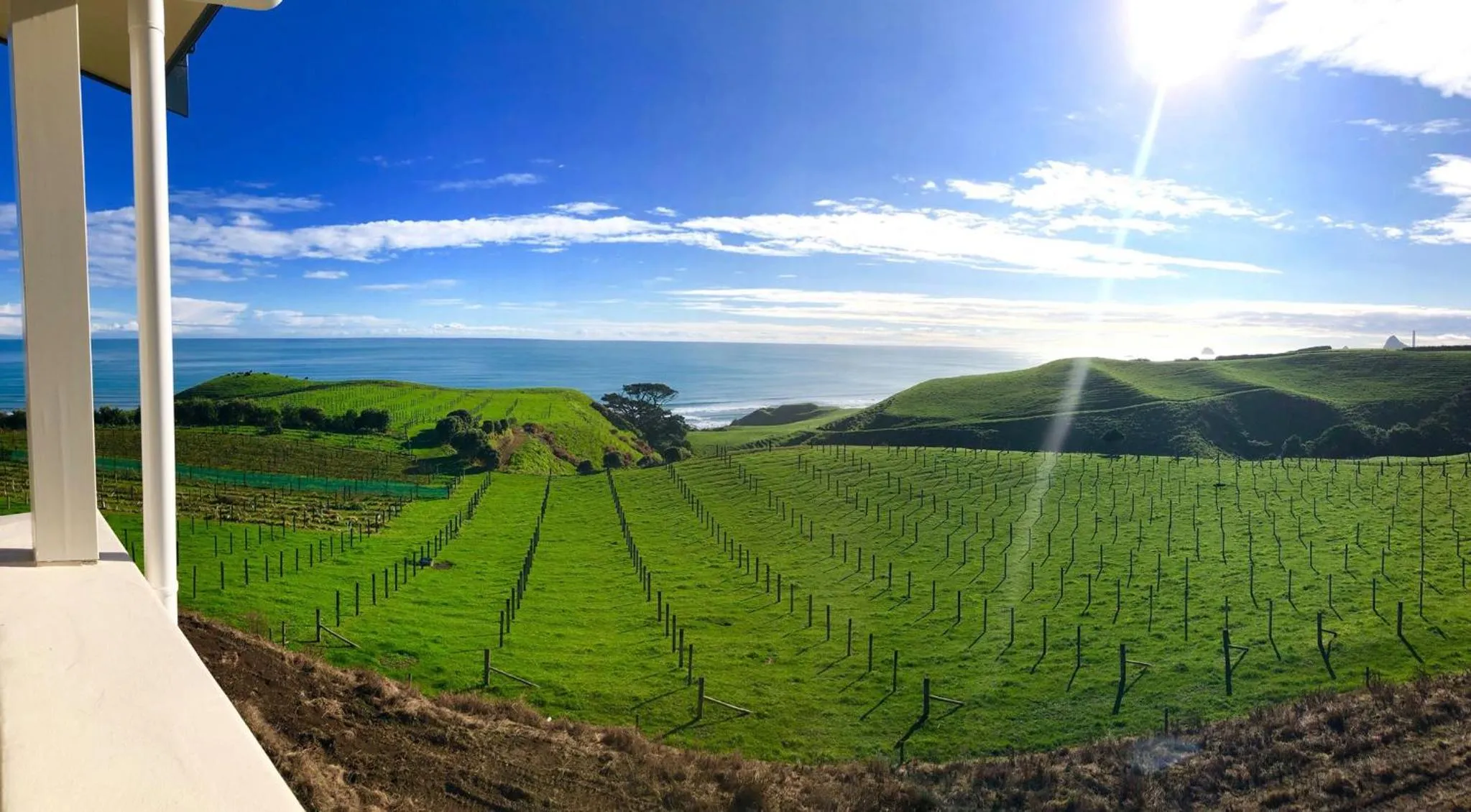 Natural landscape in Chalets at Okurukuru
