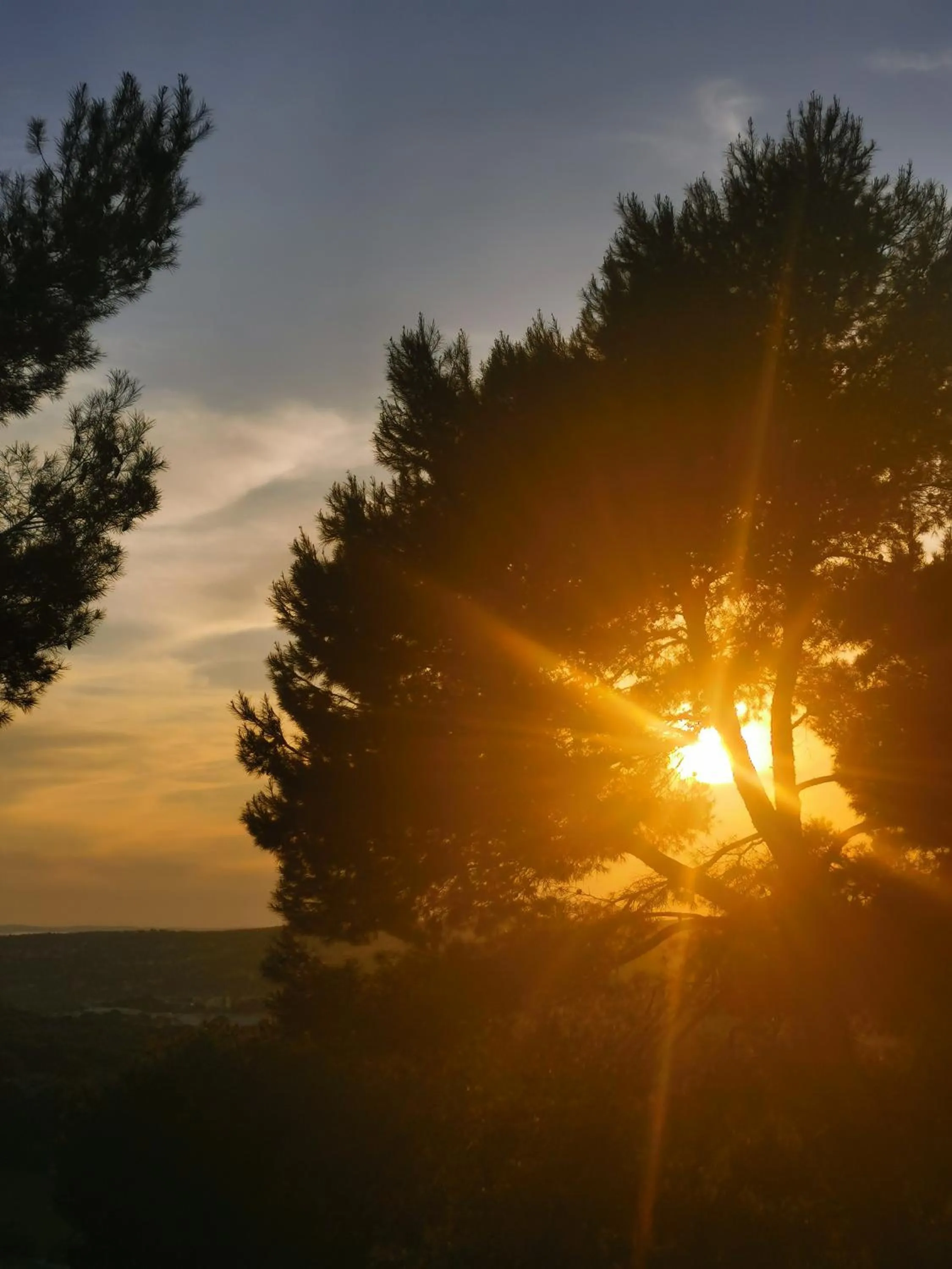 Evening entertainment in Le Mas des Roches à Velaux