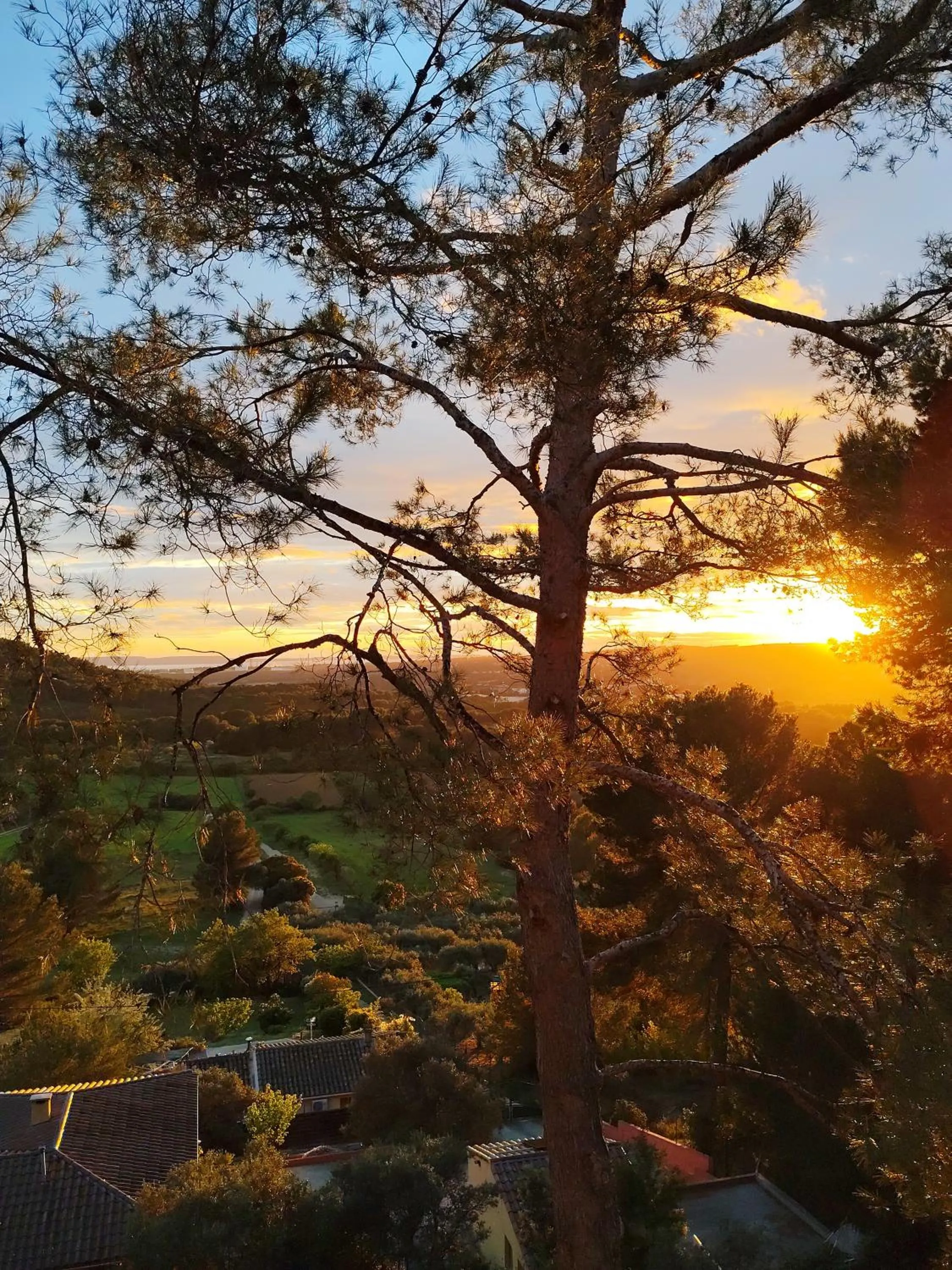 Garden in Le Mas des Roches à Velaux