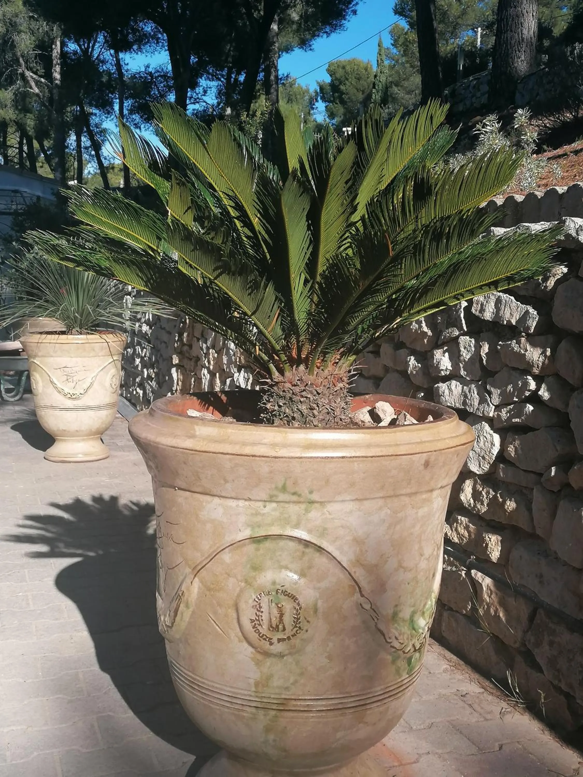 Inner courtyard view in Le Mas des Roches à Velaux