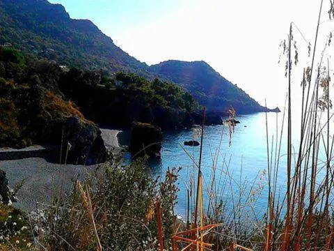 Other in Hotel Club San Diego