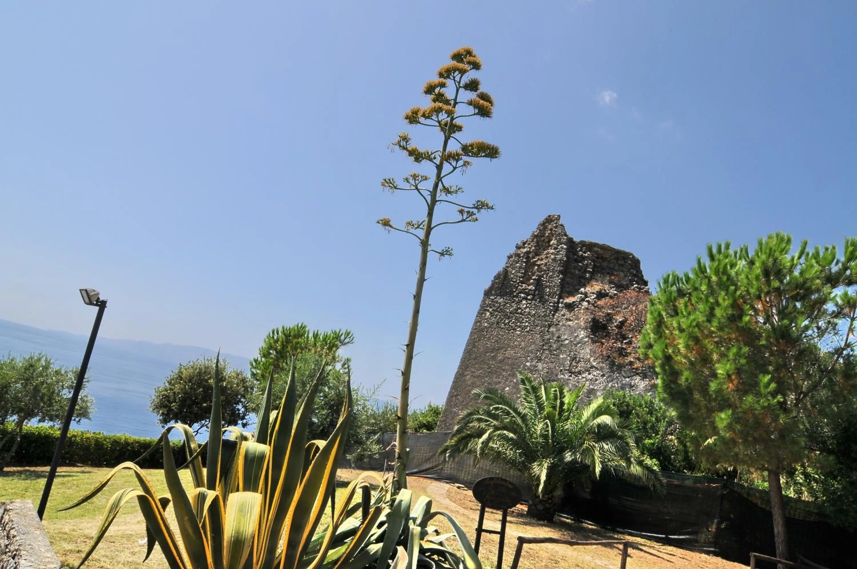 Area and facilities in Hotel Club San Diego