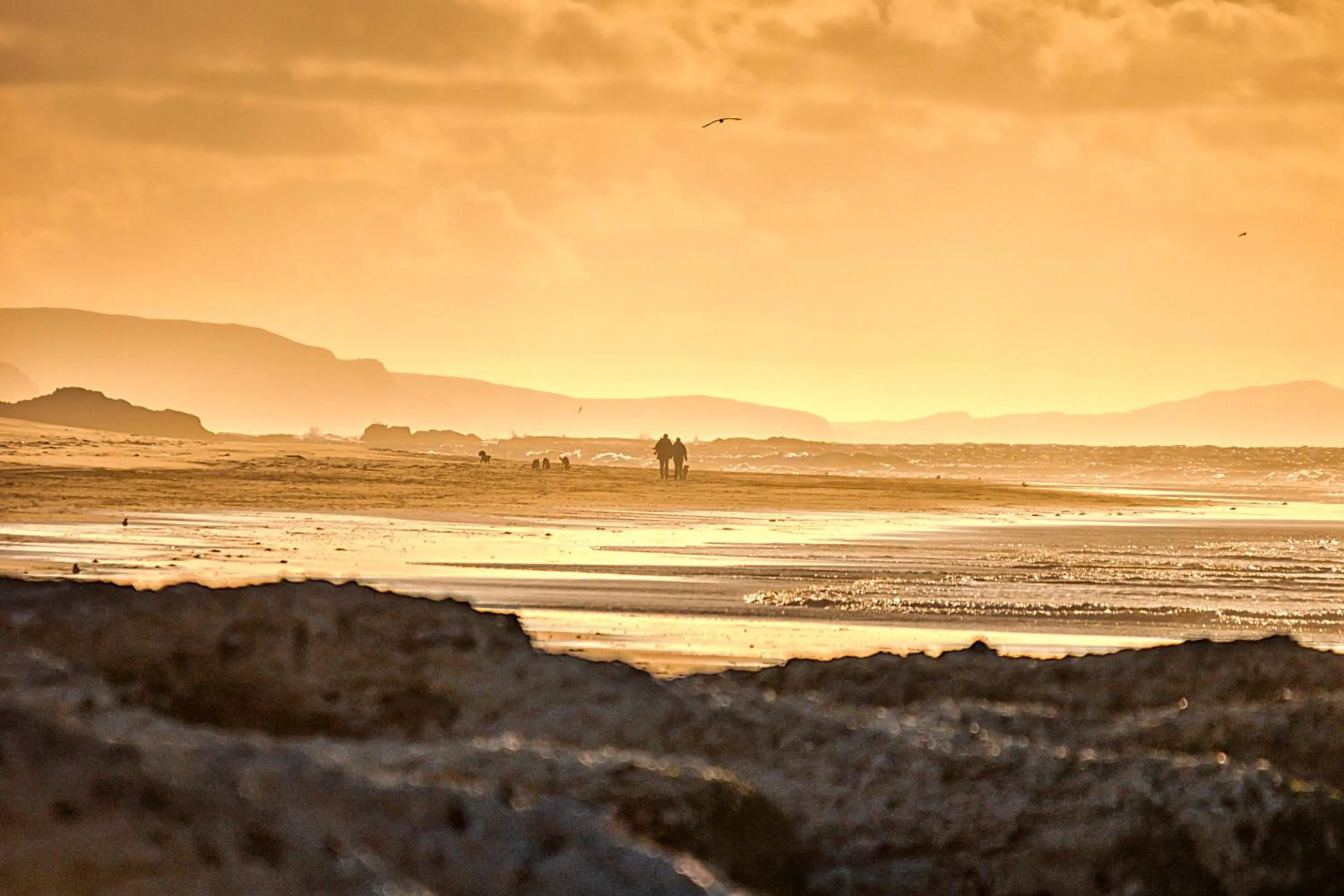 Other in Harbour Heights B&B